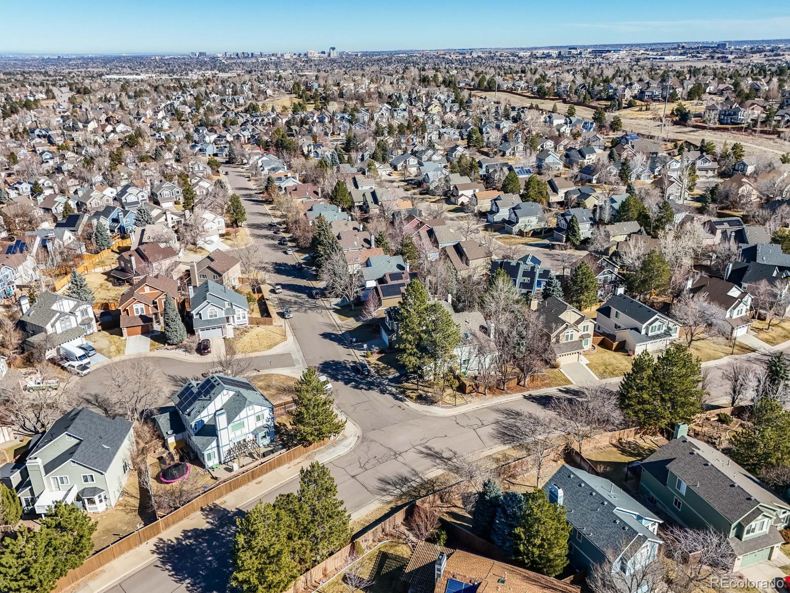 MLS Image #29 for 9696  pinebrook street,highlands ranch, Colorado