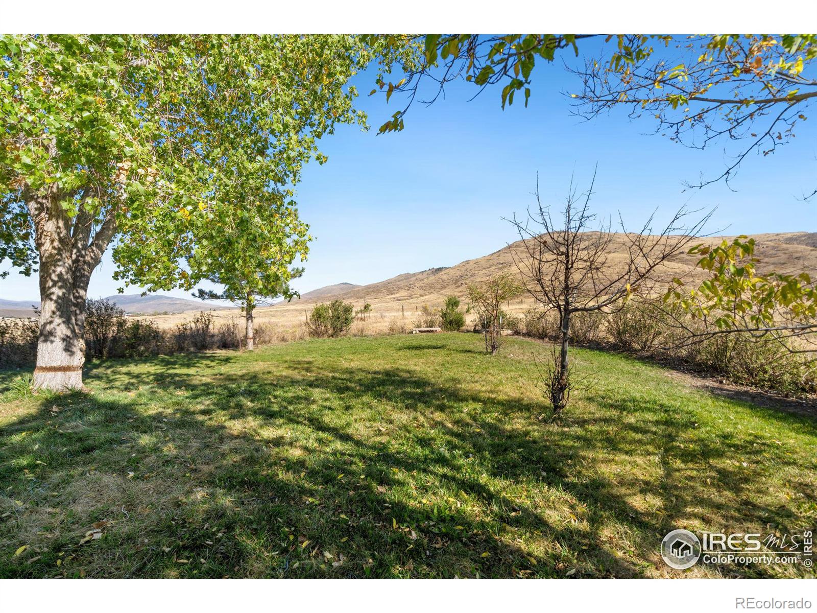 MLS Image #34 for 5801  norwood avenue,loveland, Colorado