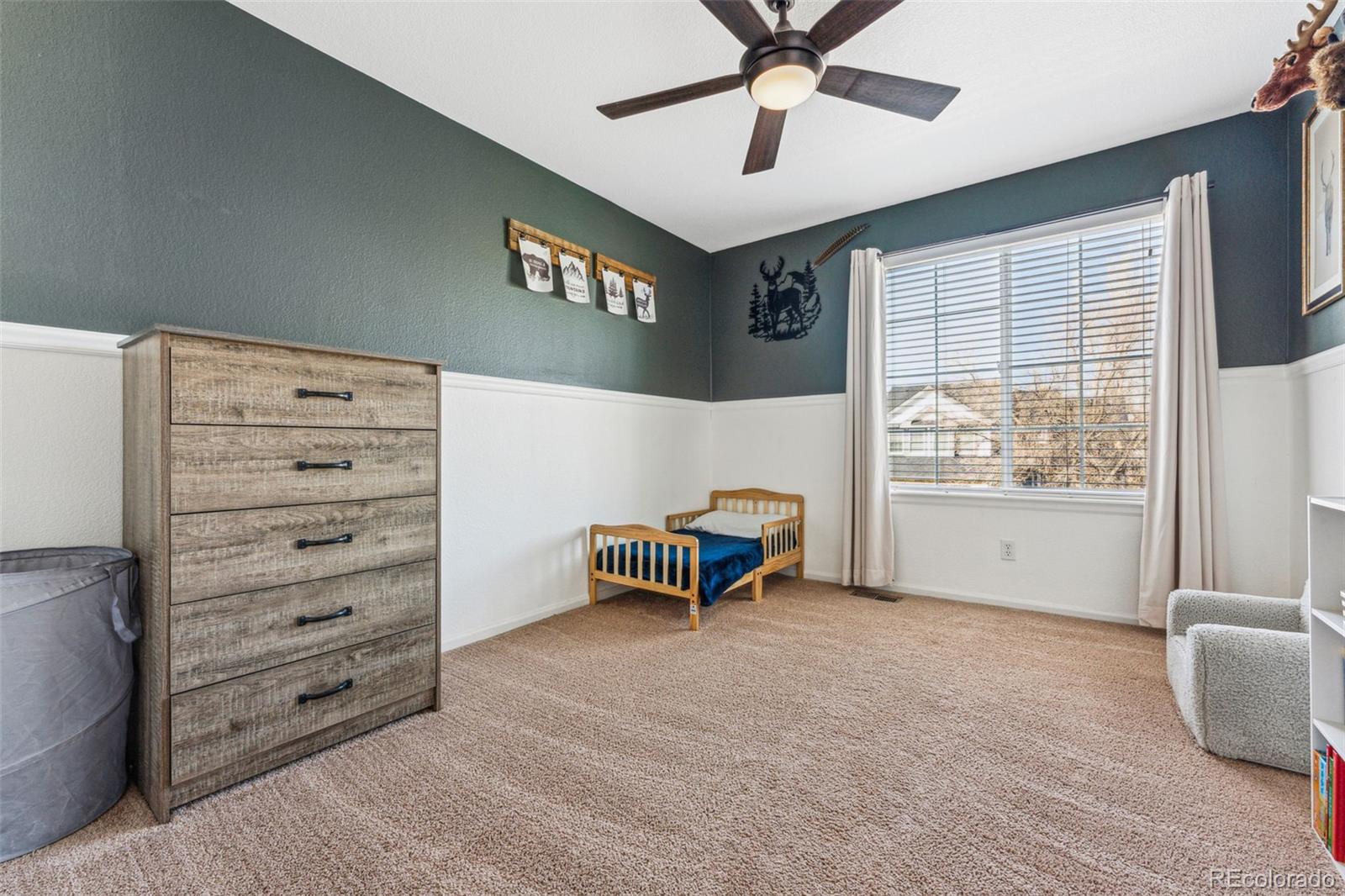 MLS Image #22 for 4774  coker avenue,castle rock, Colorado