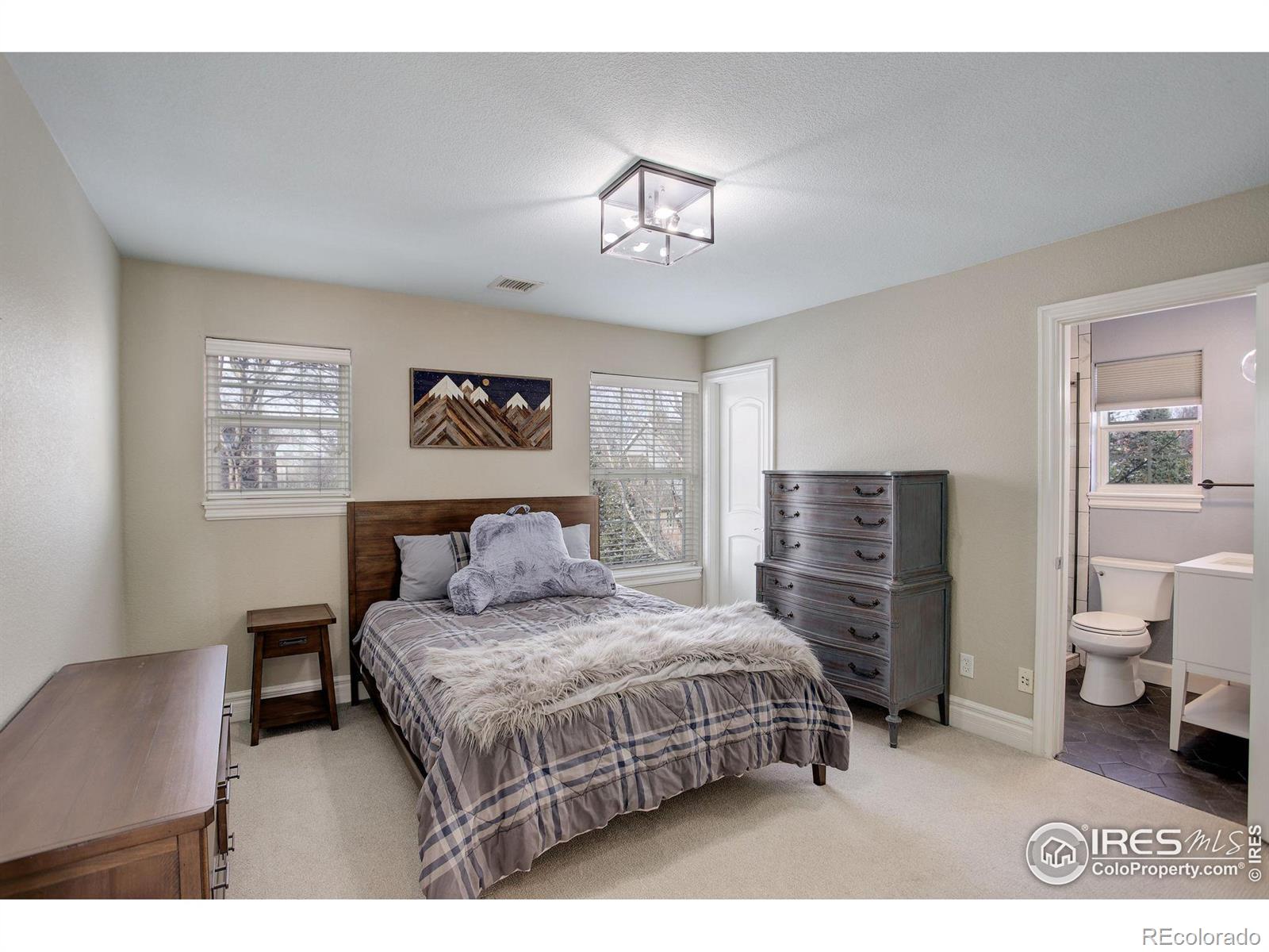 MLS Image #20 for 1321  onyx circle,longmont, Colorado