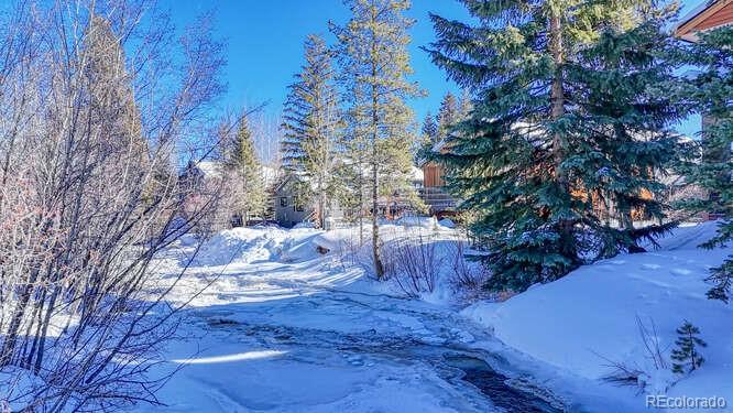 MLS Image #10 for 105  galena street,frisco, Colorado