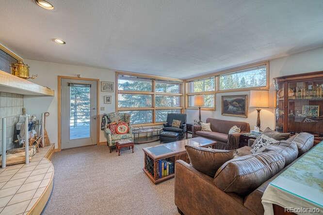 MLS Image #19 for 105  galena street,frisco, Colorado