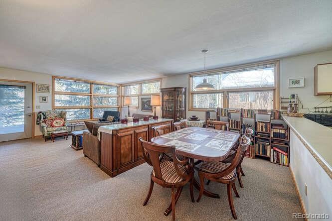 MLS Image #24 for 105  galena street,frisco, Colorado