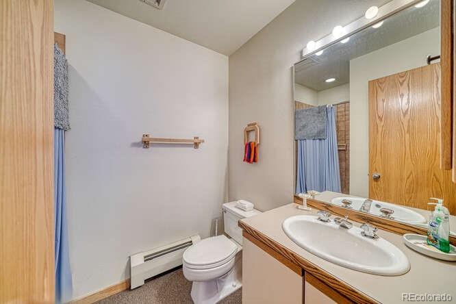 MLS Image #32 for 105  galena street,frisco, Colorado