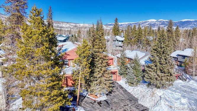 MLS Image #41 for 105  galena street,frisco, Colorado