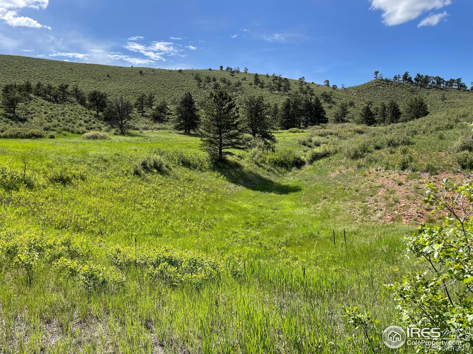 MLS Image #35 for 2707  sedona hills drive,loveland, Colorado