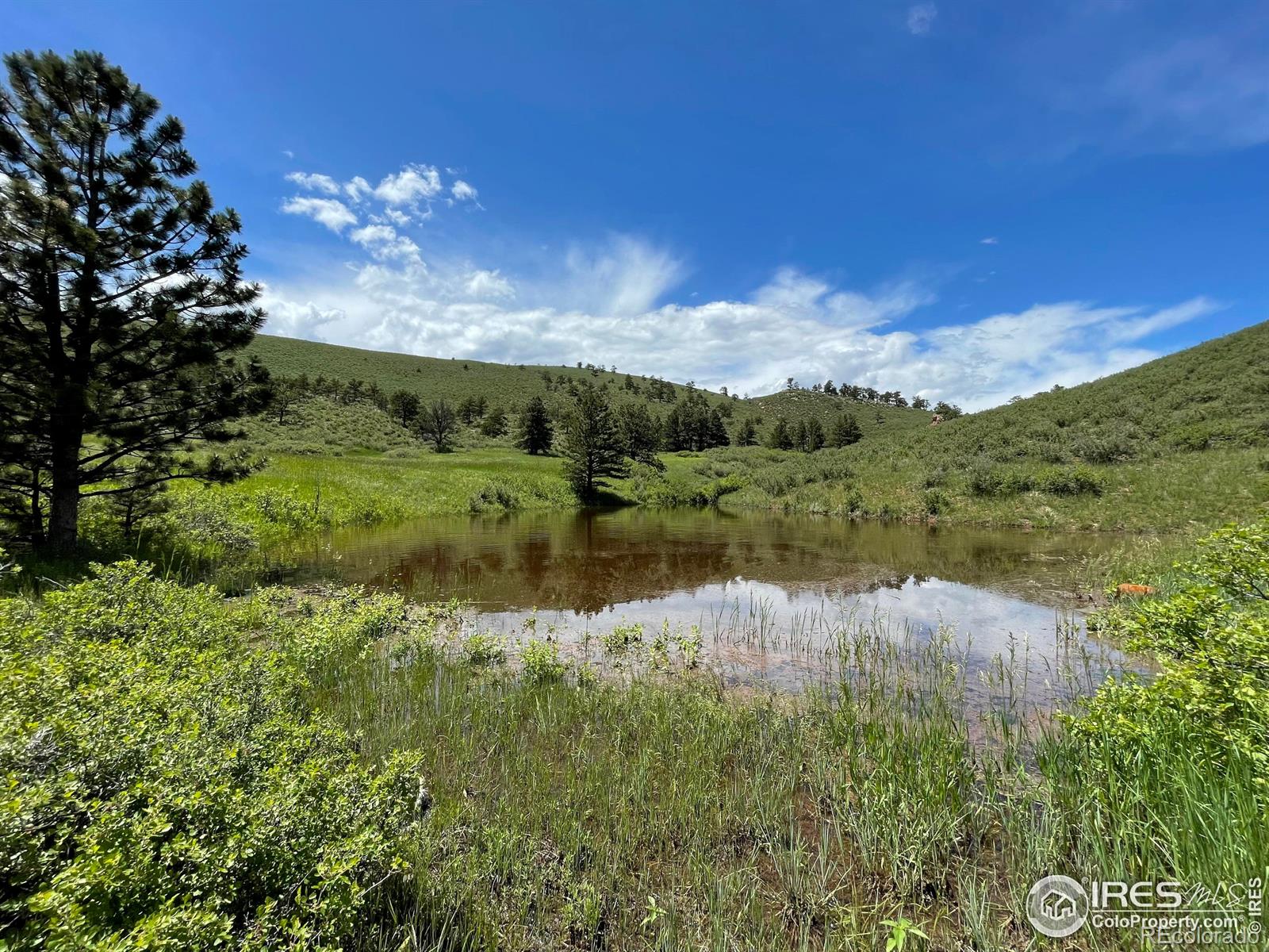 MLS Image #37 for 2707  sedona hills drive,loveland, Colorado