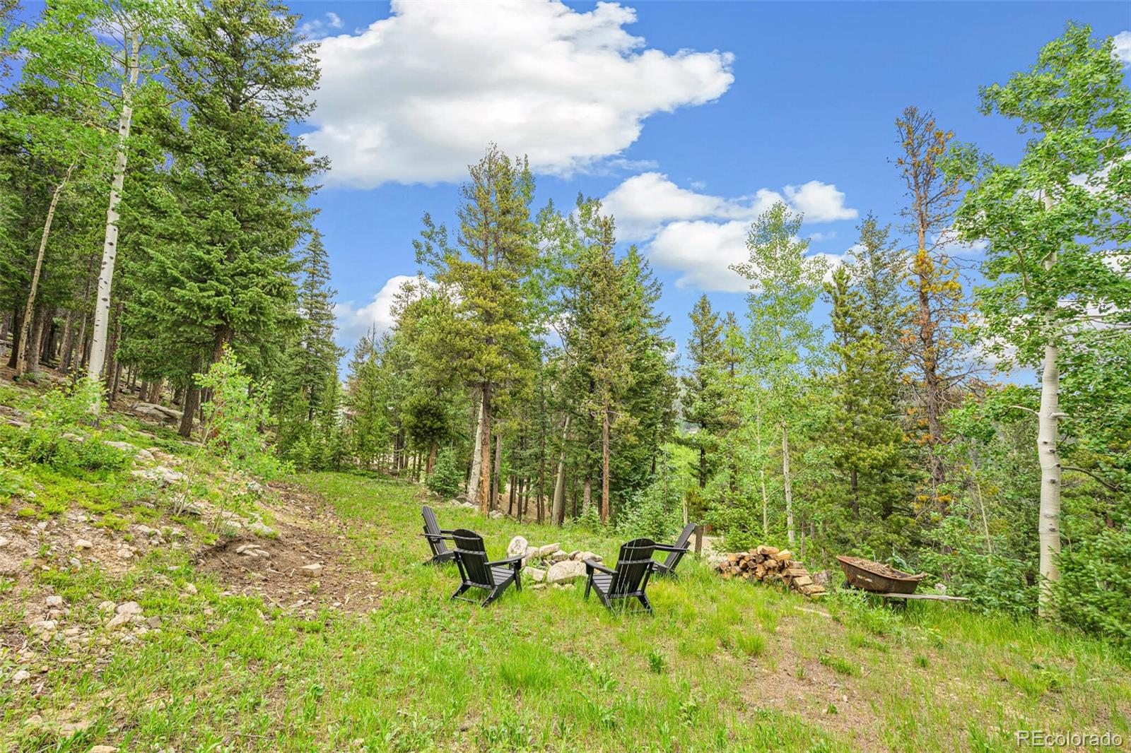 MLS Image #46 for 1758  sinton road,evergreen, Colorado