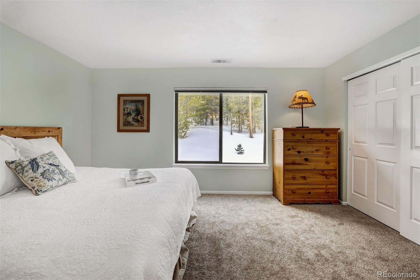 MLS Image #16 for 291  kestrel lane,silverthorne, Colorado