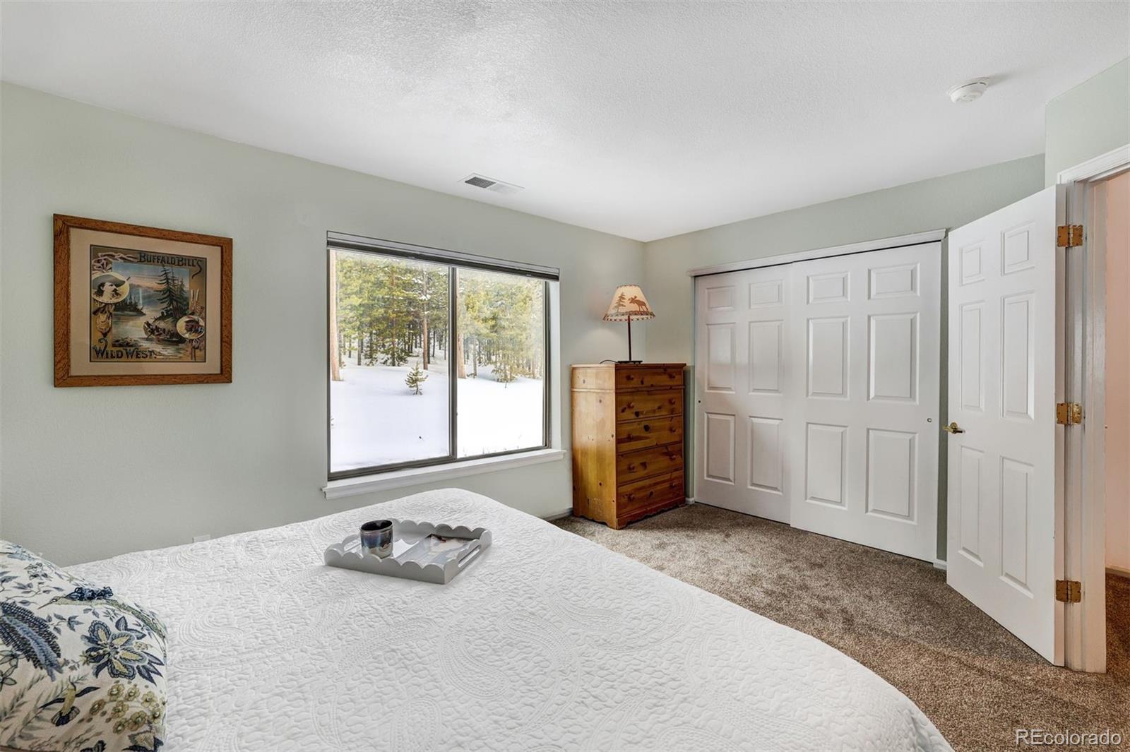 MLS Image #18 for 291  kestrel lane,silverthorne, Colorado