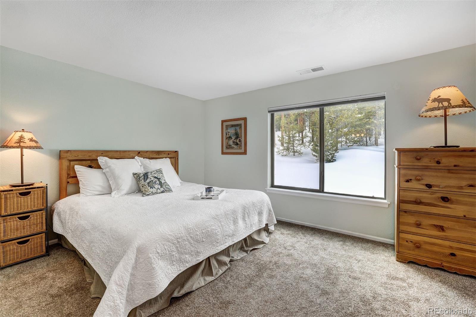 MLS Image #19 for 291  kestrel lane,silverthorne, Colorado