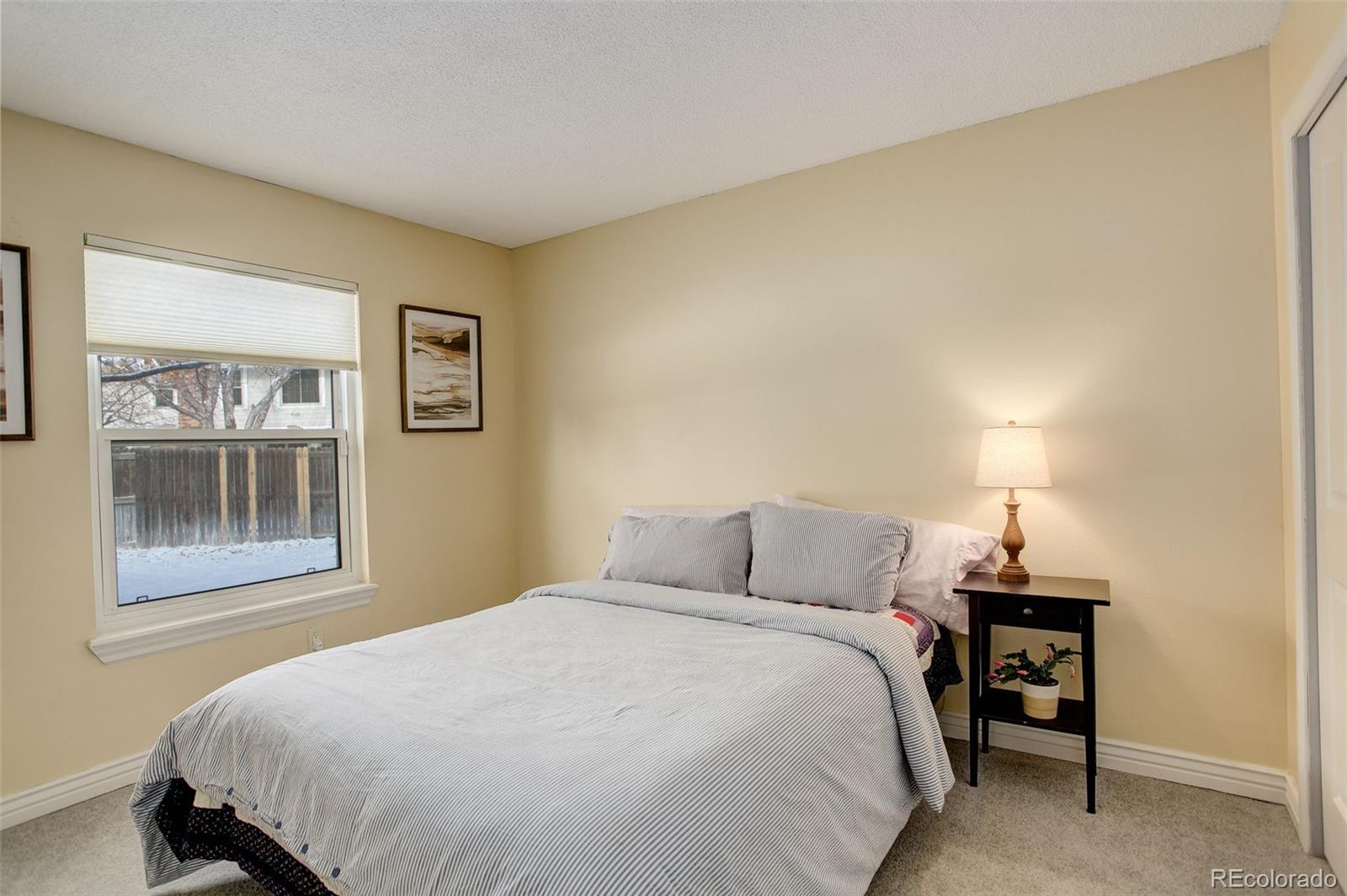 MLS Image #19 for 8217 s syracuse court,centennial, Colorado