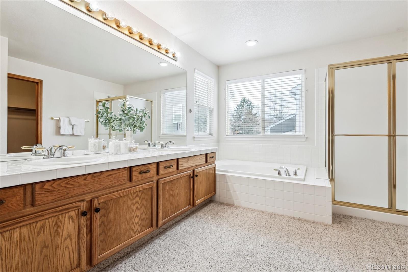 MLS Image #18 for 9928  candlewood court,highlands ranch, Colorado