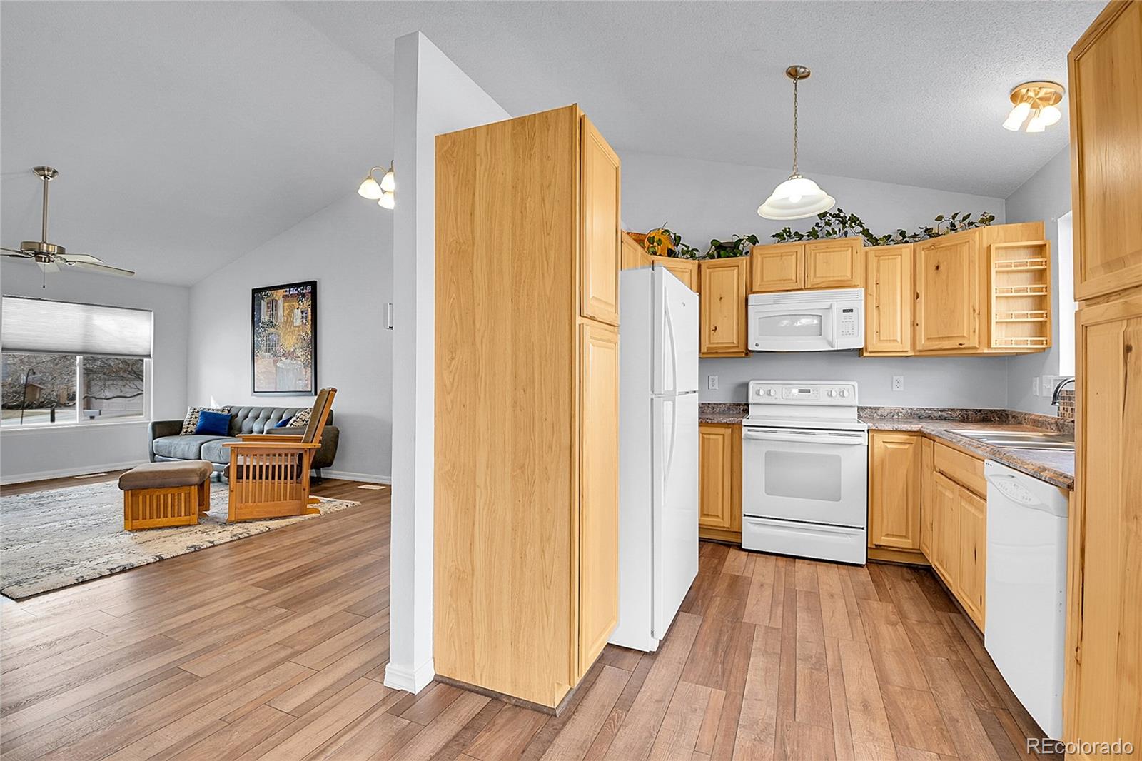 MLS Image #8 for 270 n holcomb circle,castle rock, Colorado