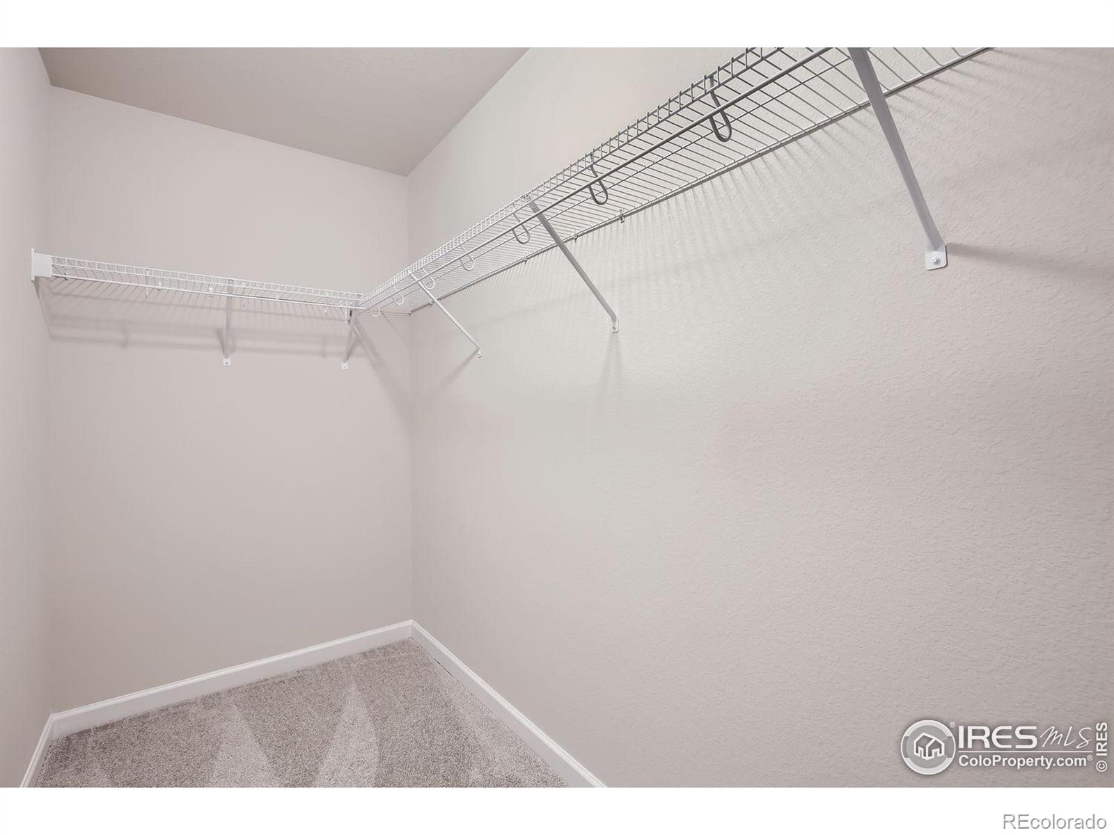 MLS Image #13 for 759  star grass lane,fort collins, Colorado