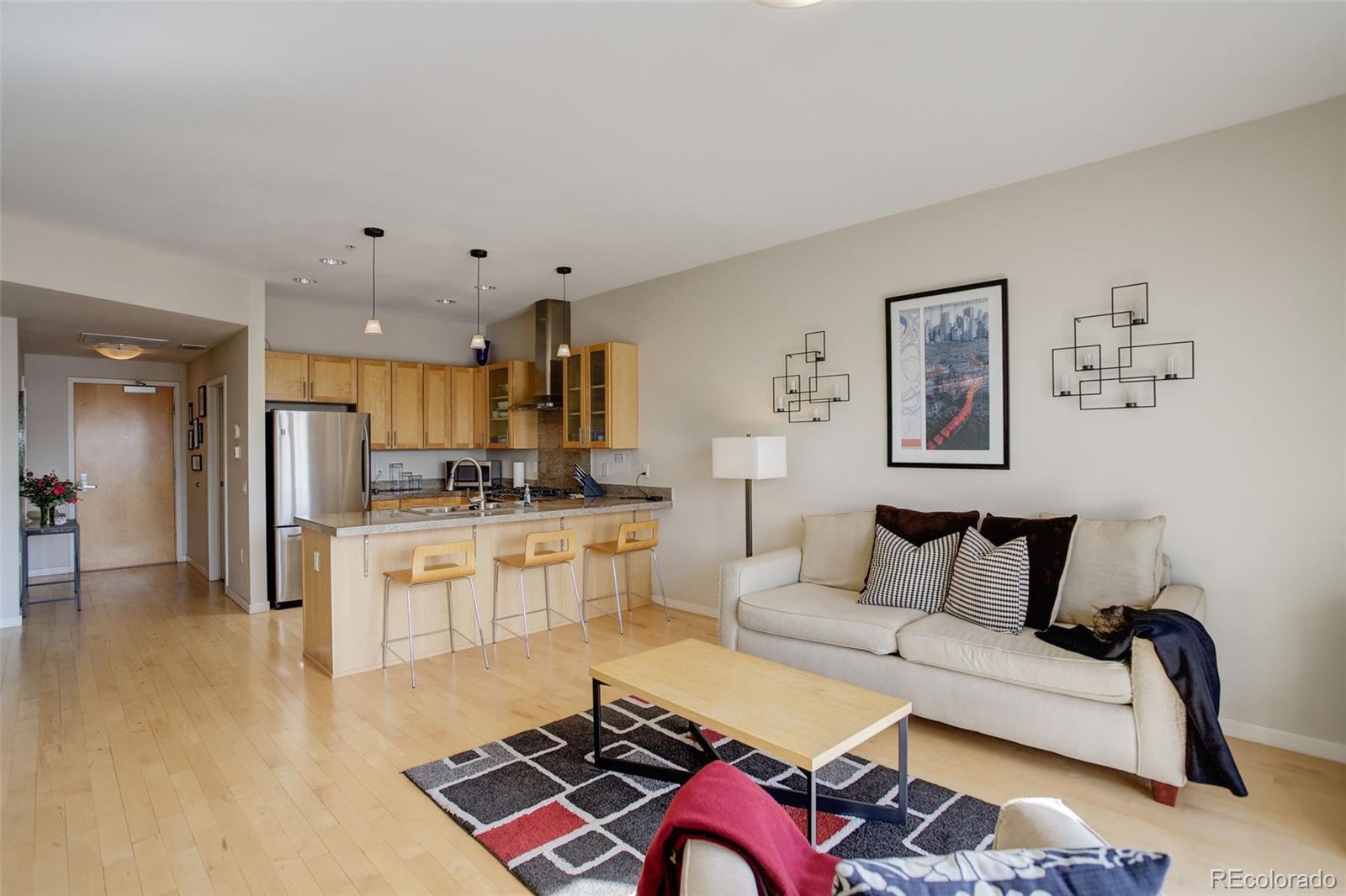 MLS Image #2 for 1438  little raven street 306,denver, Colorado