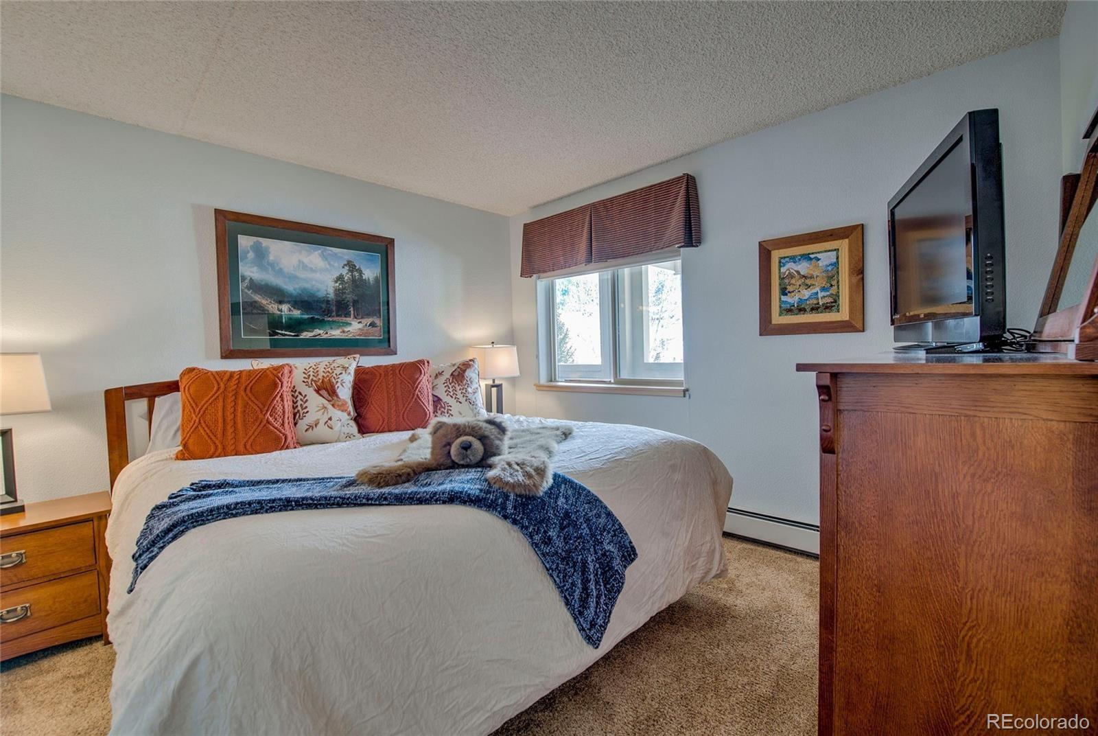 MLS Image #15 for 980  lakepoint drive,frisco, Colorado