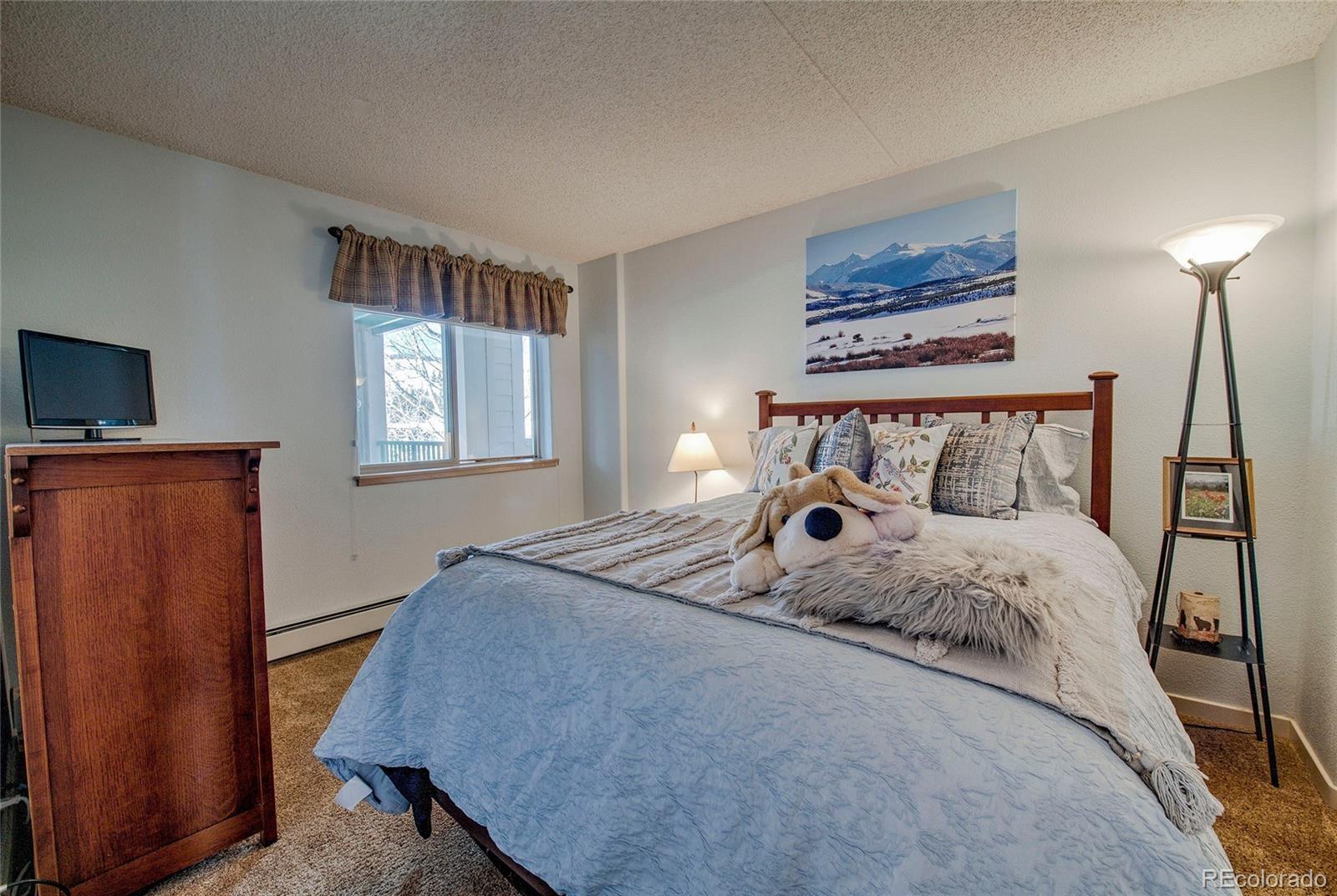 MLS Image #20 for 980  lakepoint drive,frisco, Colorado