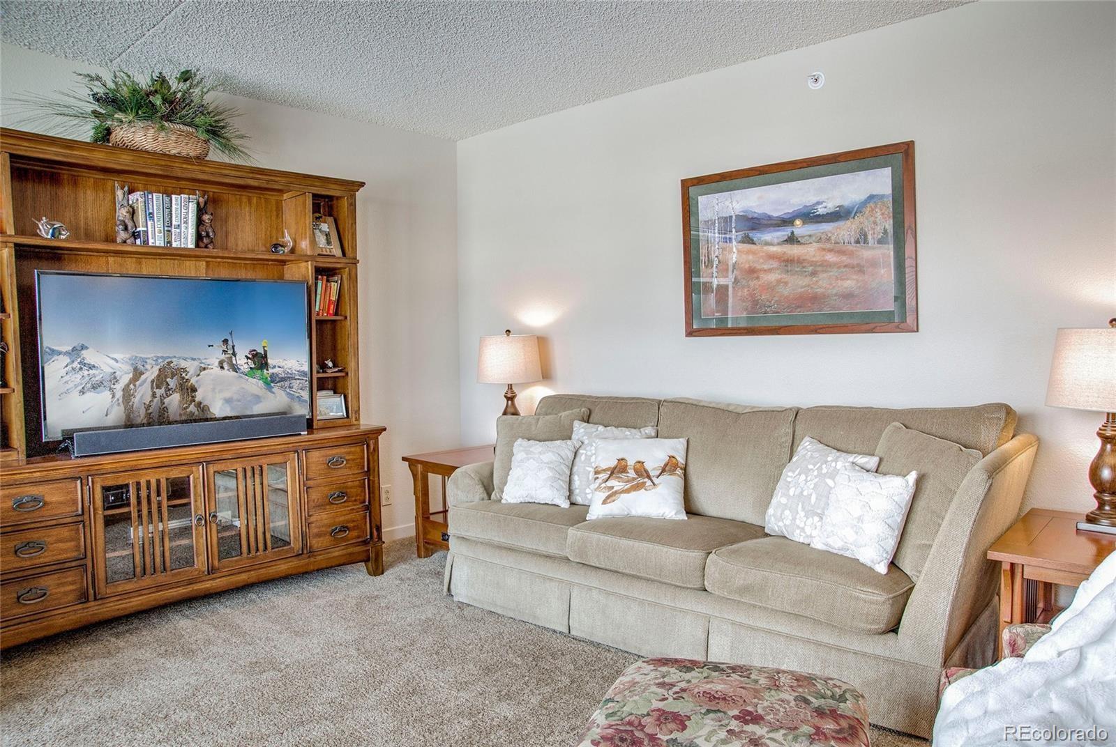 MLS Image #45 for 980  lakepoint drive,frisco, Colorado