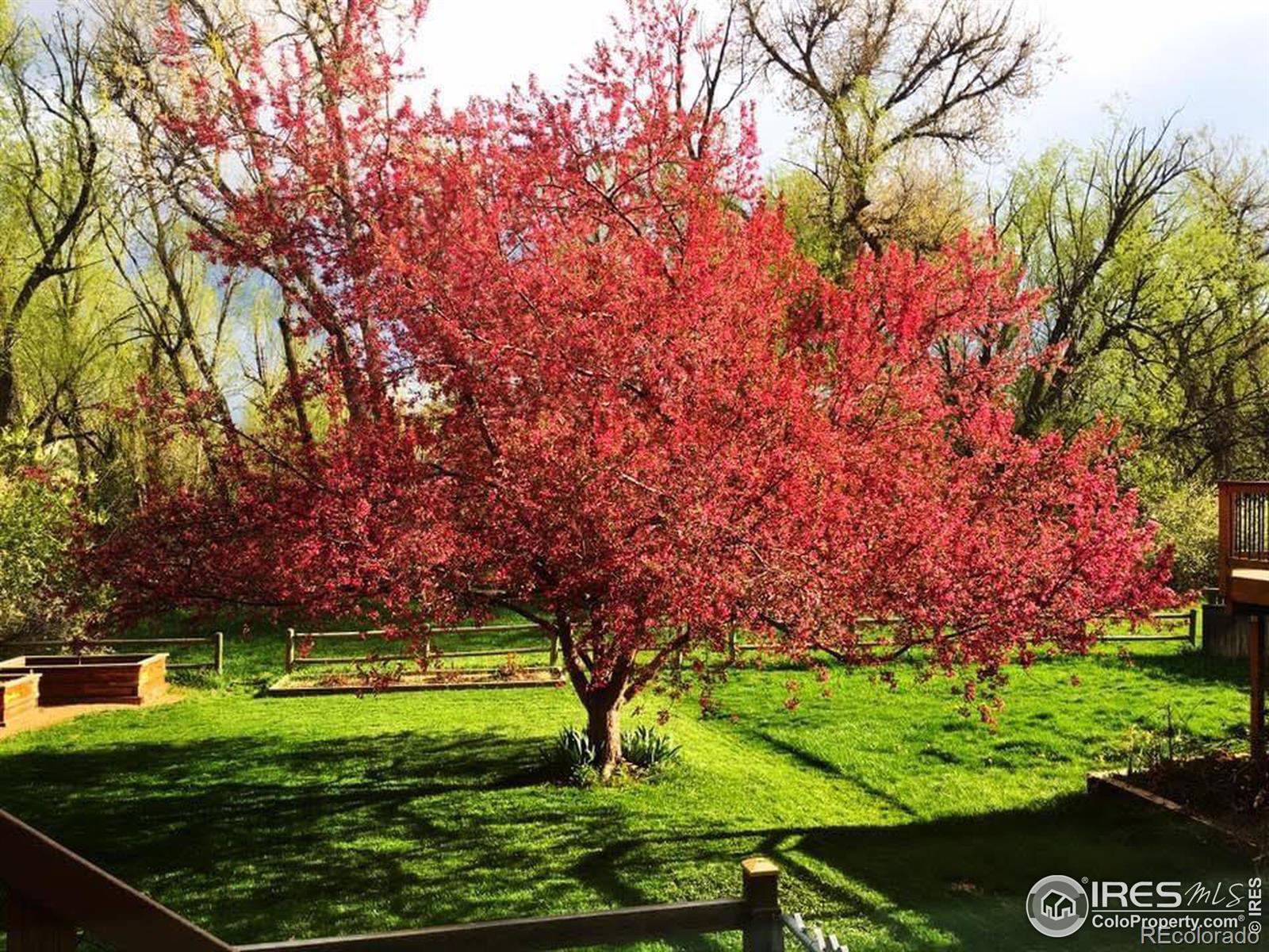 MLS Image #26 for 4491  wellington road,boulder, Colorado