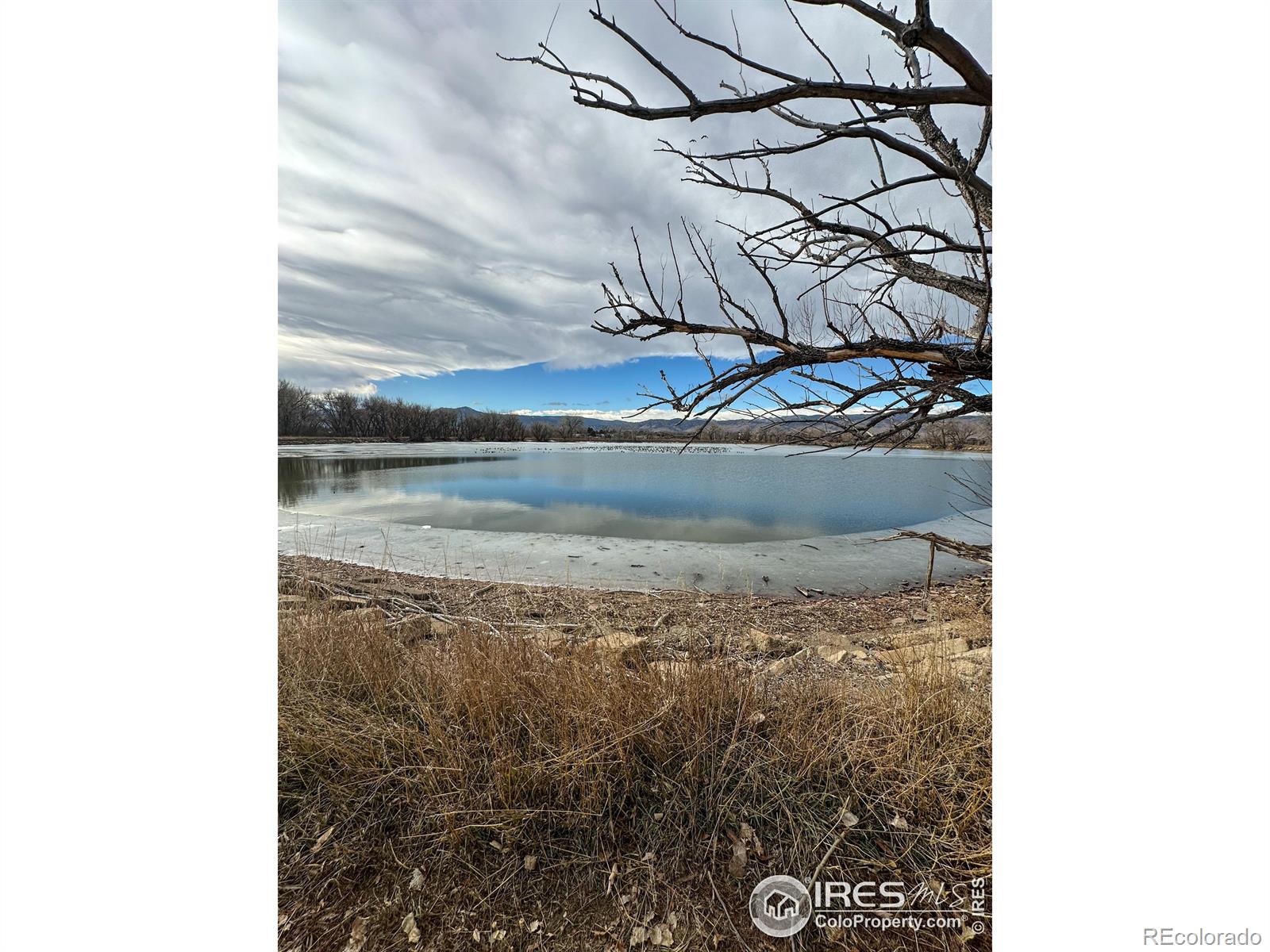 MLS Image #30 for 4491  wellington road,boulder, Colorado