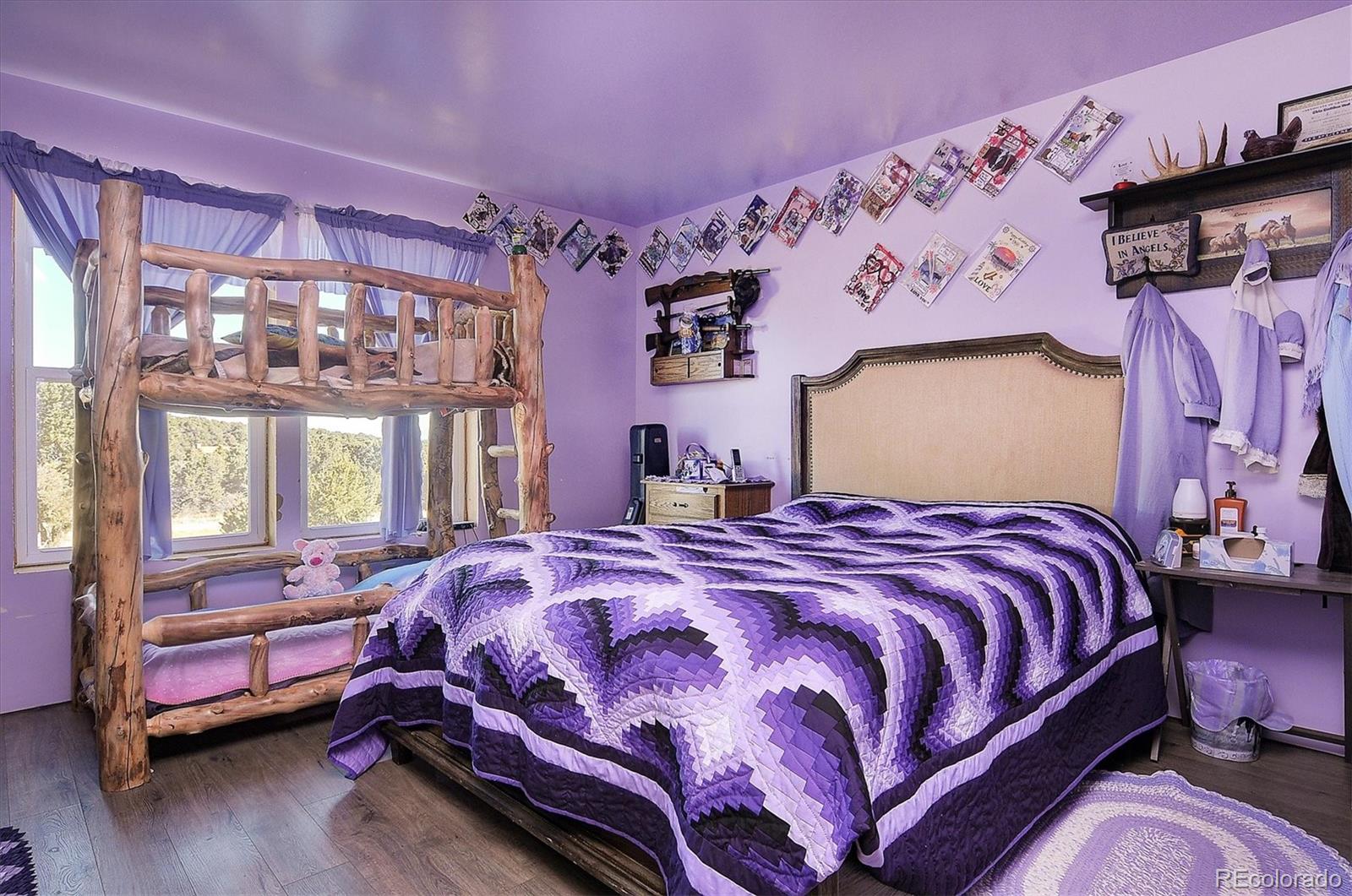 MLS Image #11 for 1700  mitchell mtn road,westcliffe, Colorado