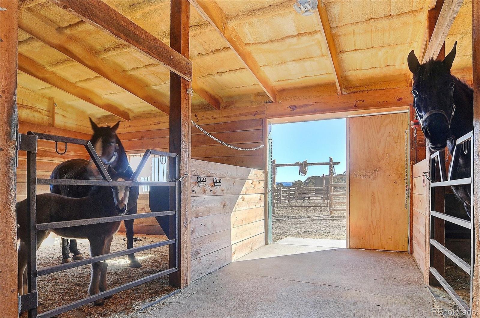 MLS Image #24 for 1700  mitchell mtn road,westcliffe, Colorado
