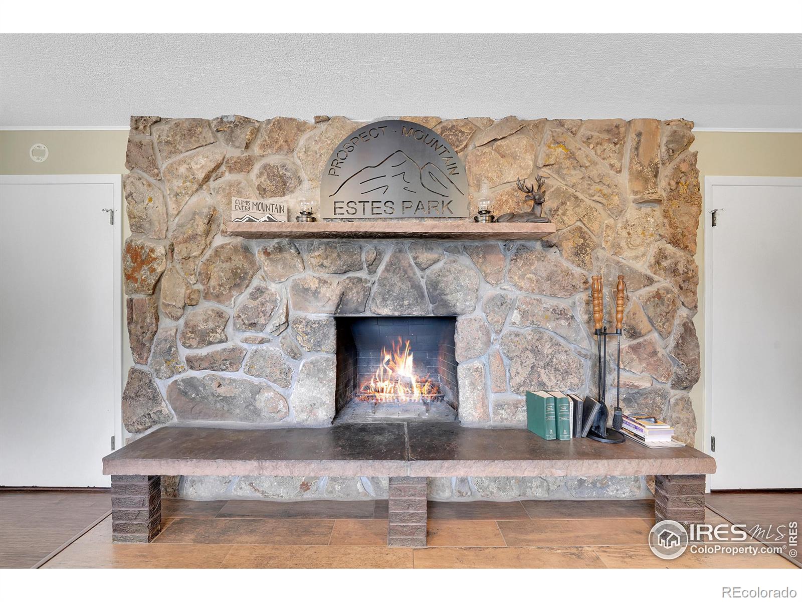 MLS Image #4 for 1690  prospect mountain drive,estes park, Colorado