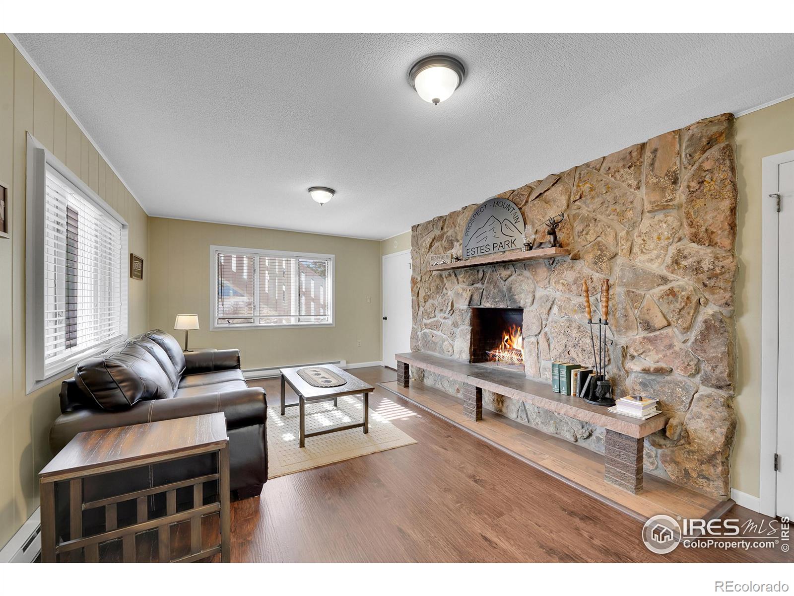 MLS Image #5 for 1690  prospect mountain drive,estes park, Colorado