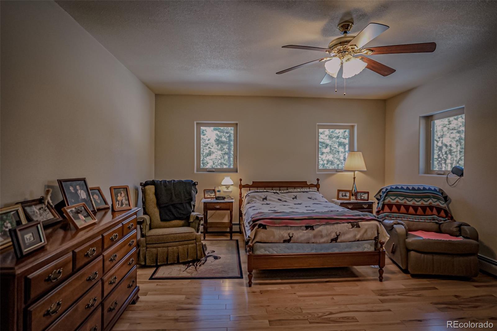 MLS Image #10 for 33002  bobcat court,trinidad, Colorado