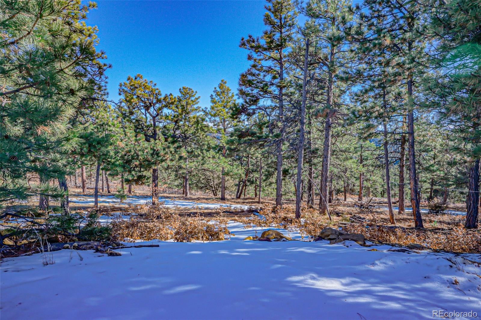 MLS Image #24 for 33002  bobcat court,trinidad, Colorado