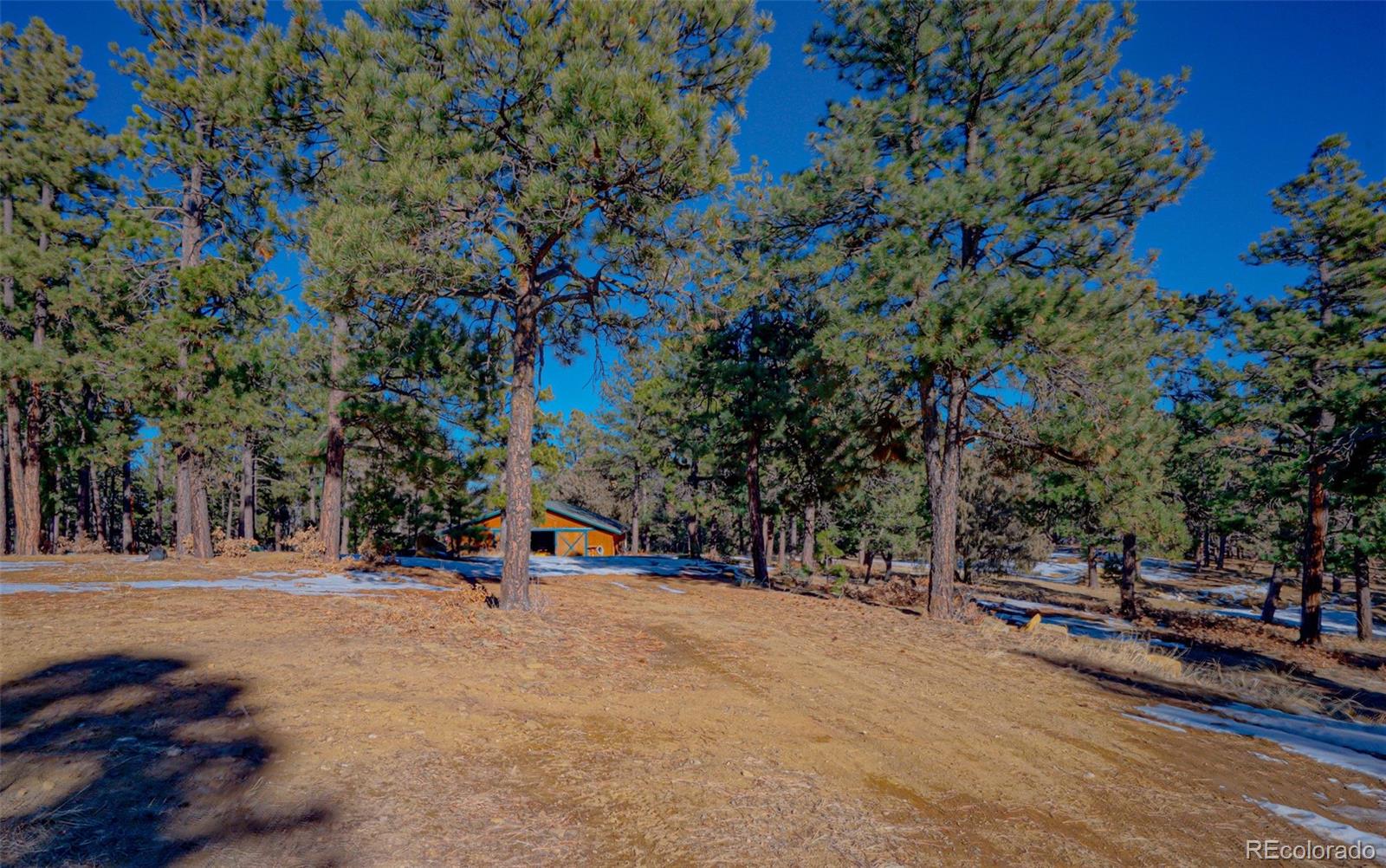 MLS Image #26 for 33002  bobcat court,trinidad, Colorado