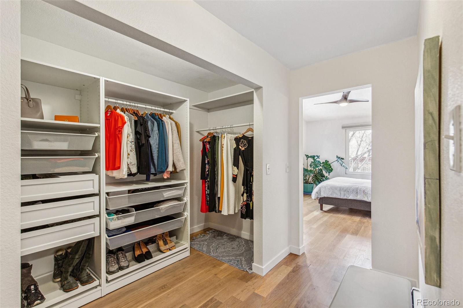 MLS Image #15 for 2202  dover street,lakewood, Colorado