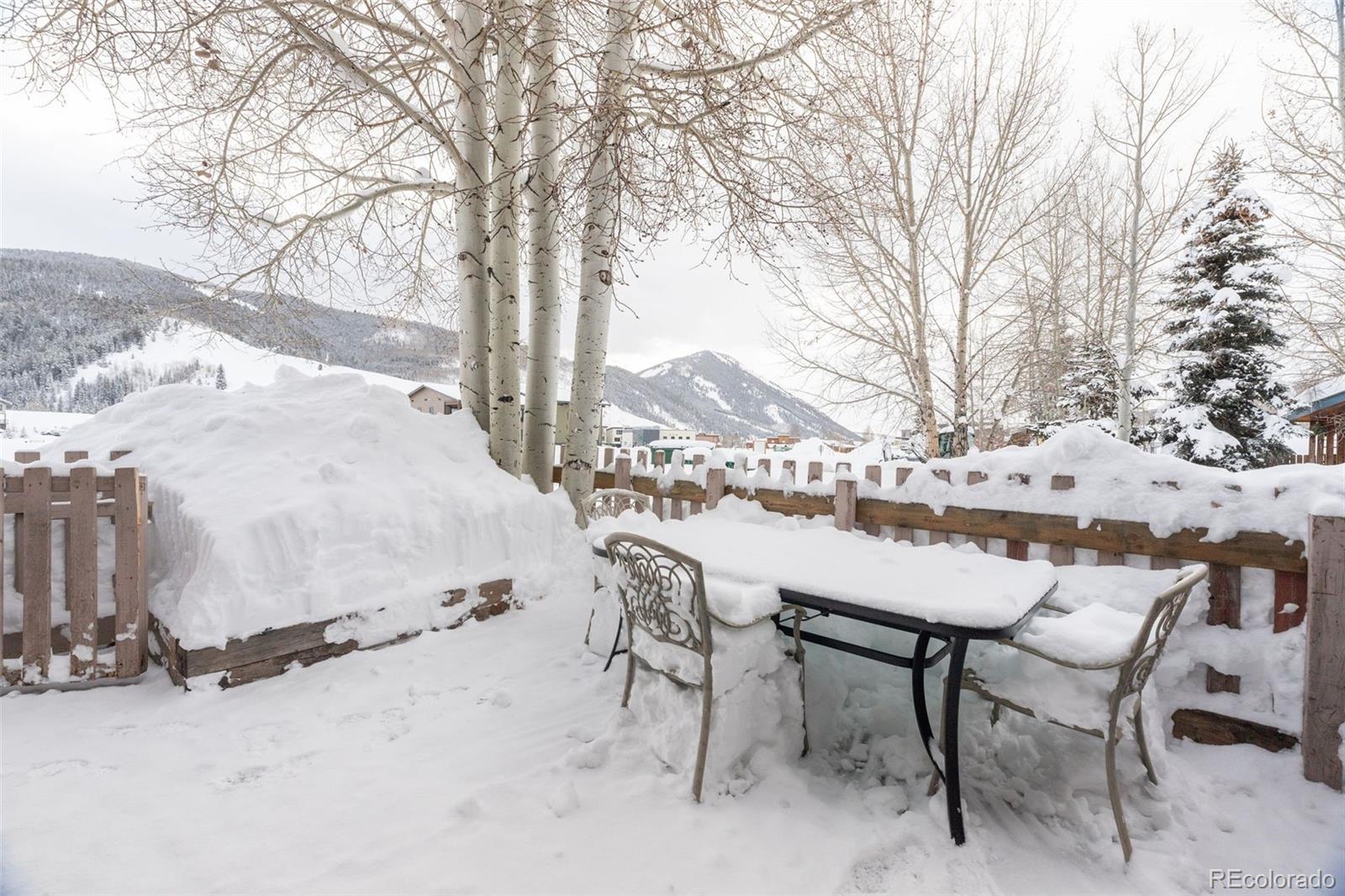 MLS Image #8 for 217  gillaspey avenue,crested butte, Colorado