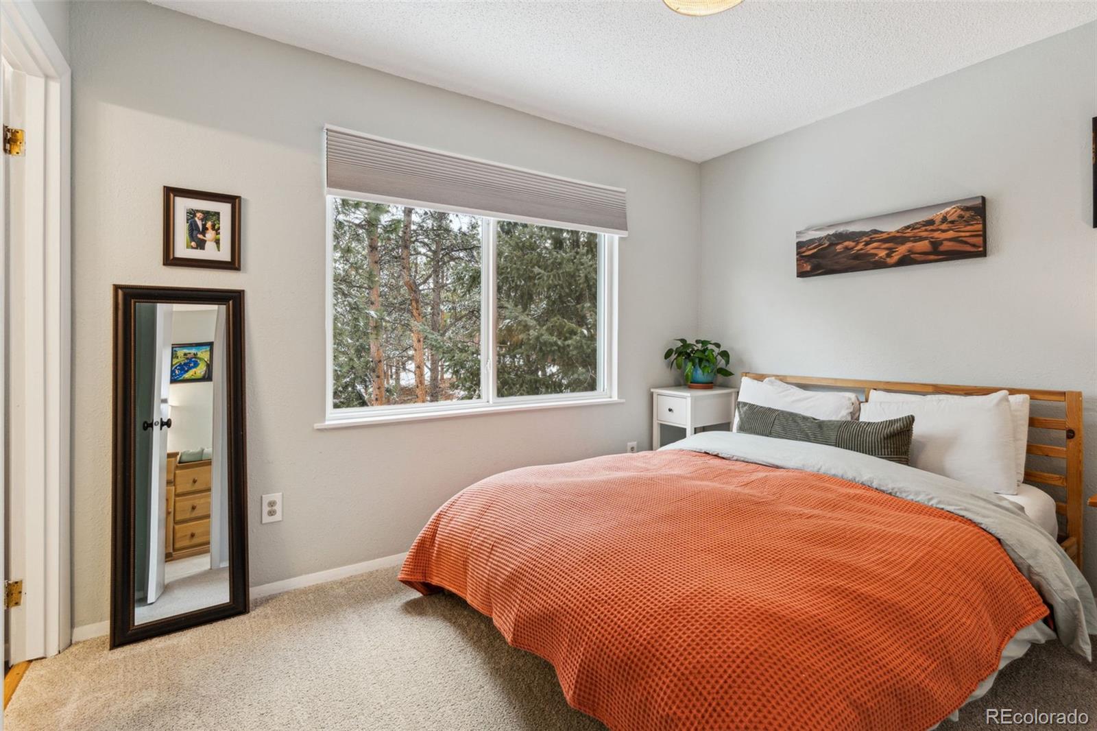 MLS Image #12 for 28254  tresine drive,evergreen, Colorado