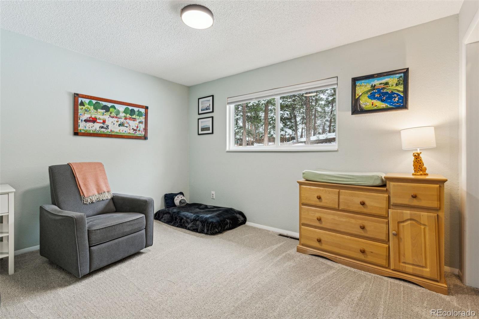 MLS Image #17 for 28254  tresine drive,evergreen, Colorado