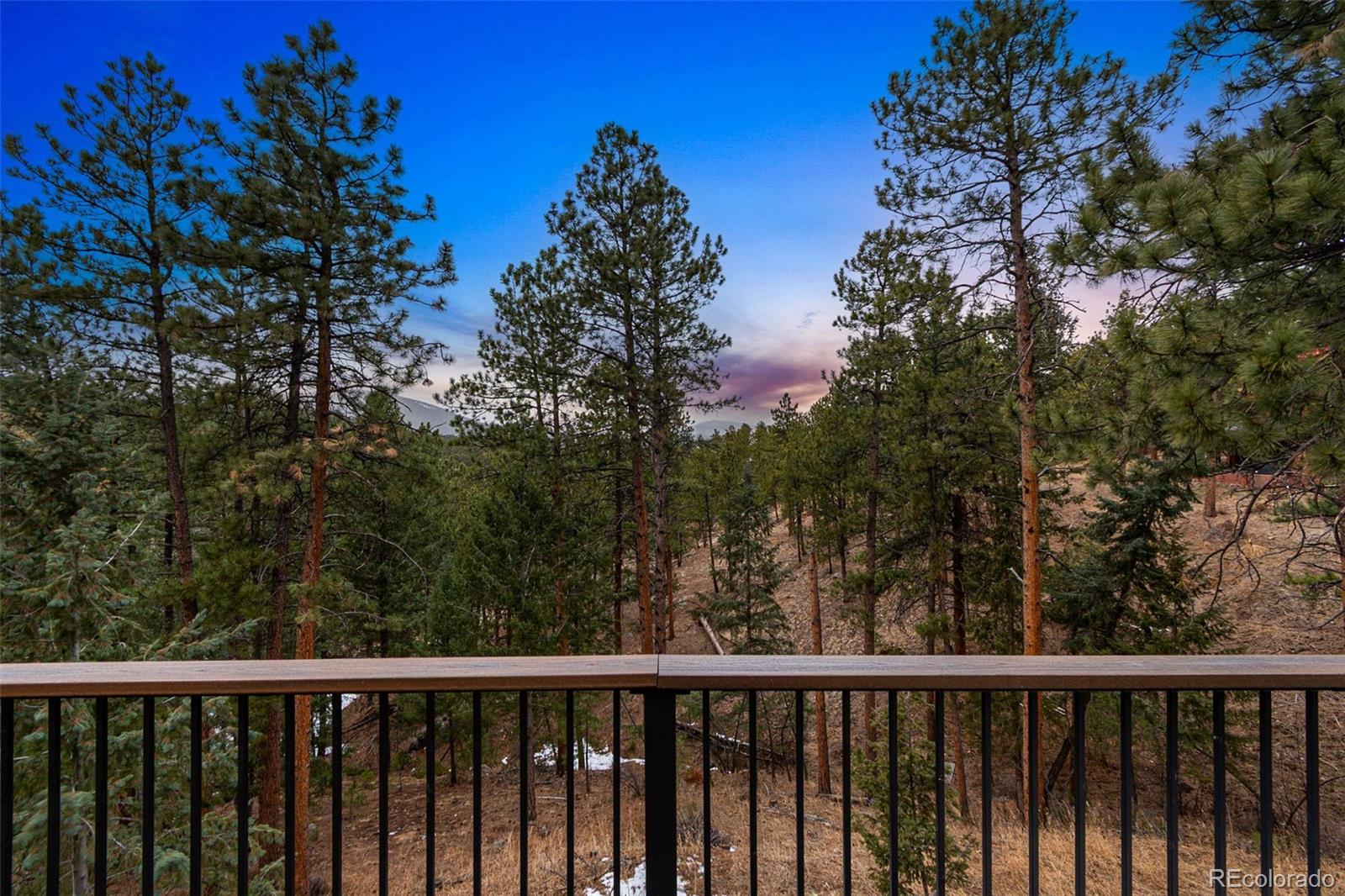 MLS Image #25 for 28254  tresine drive,evergreen, Colorado