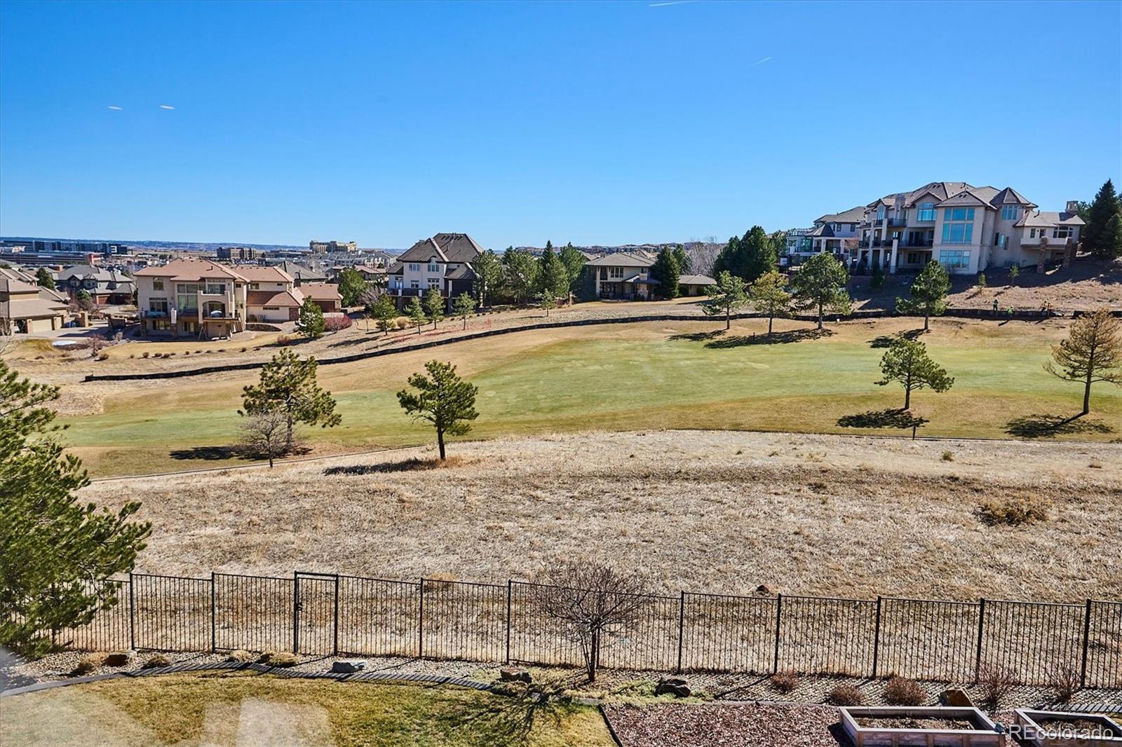 MLS Image #24 for 10162  prestwick trail,lone tree, Colorado