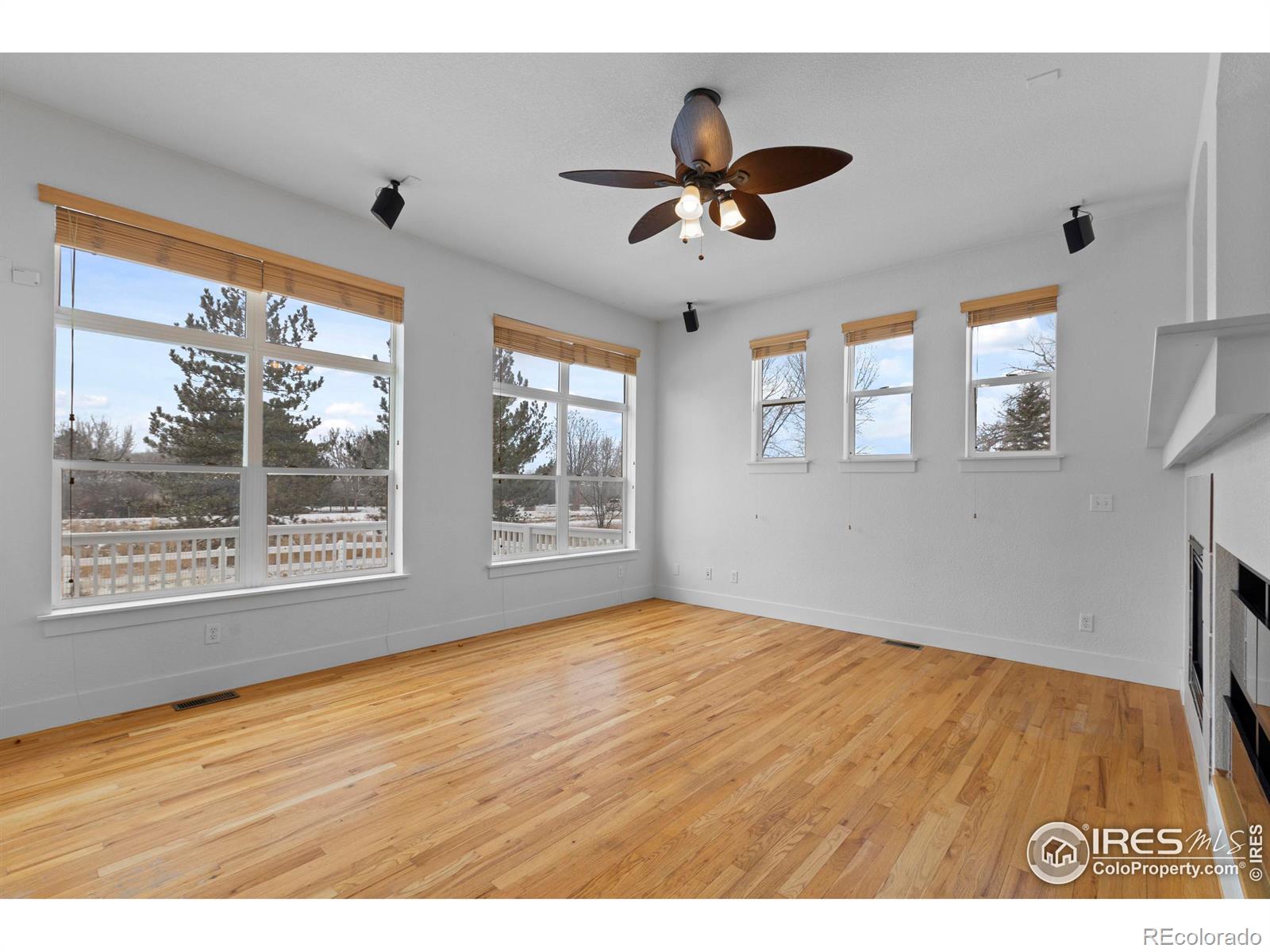 MLS Image #8 for 1842  monarch circle,loveland, Colorado