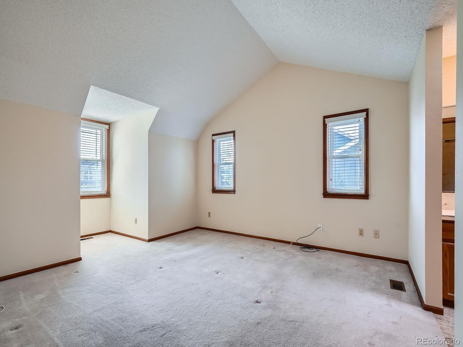 MLS Image #19 for 3873 w 98th avenue,westminster, Colorado
