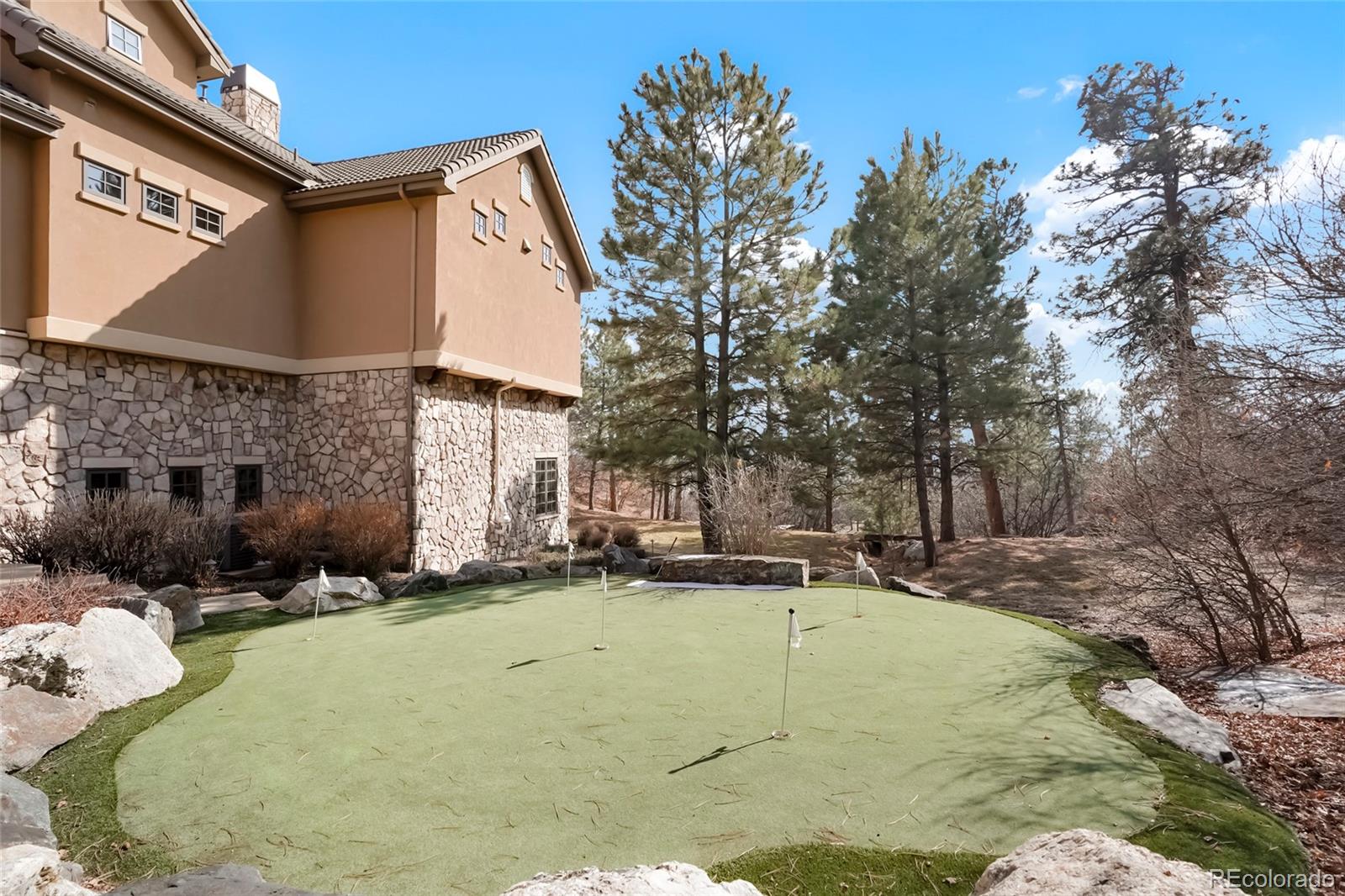 MLS Image #47 for 651  ruby trust drive,castle rock, Colorado