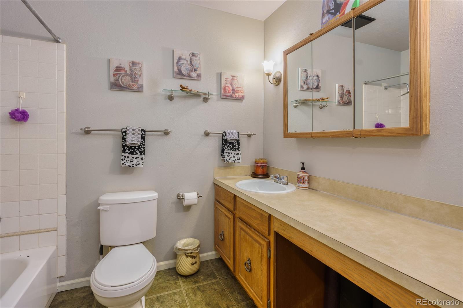 MLS Image #13 for 3035 s biscay street,aurora, Colorado