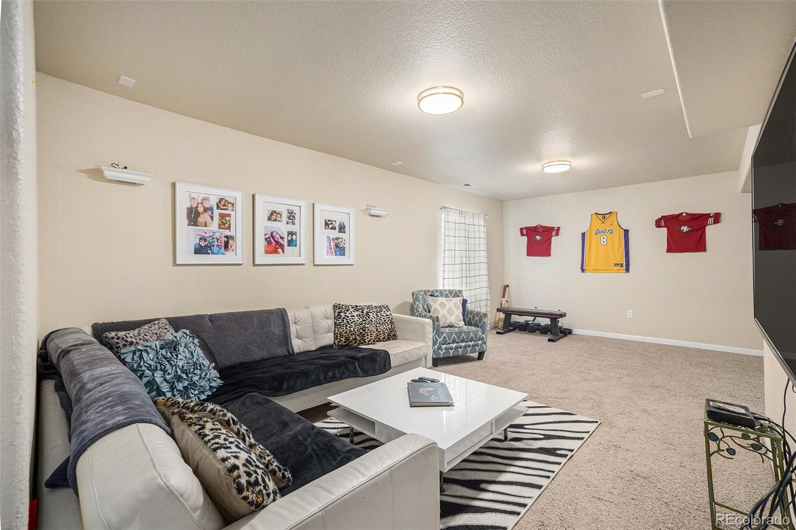 MLS Image #25 for 8317  chasewood loop,colorado springs, Colorado