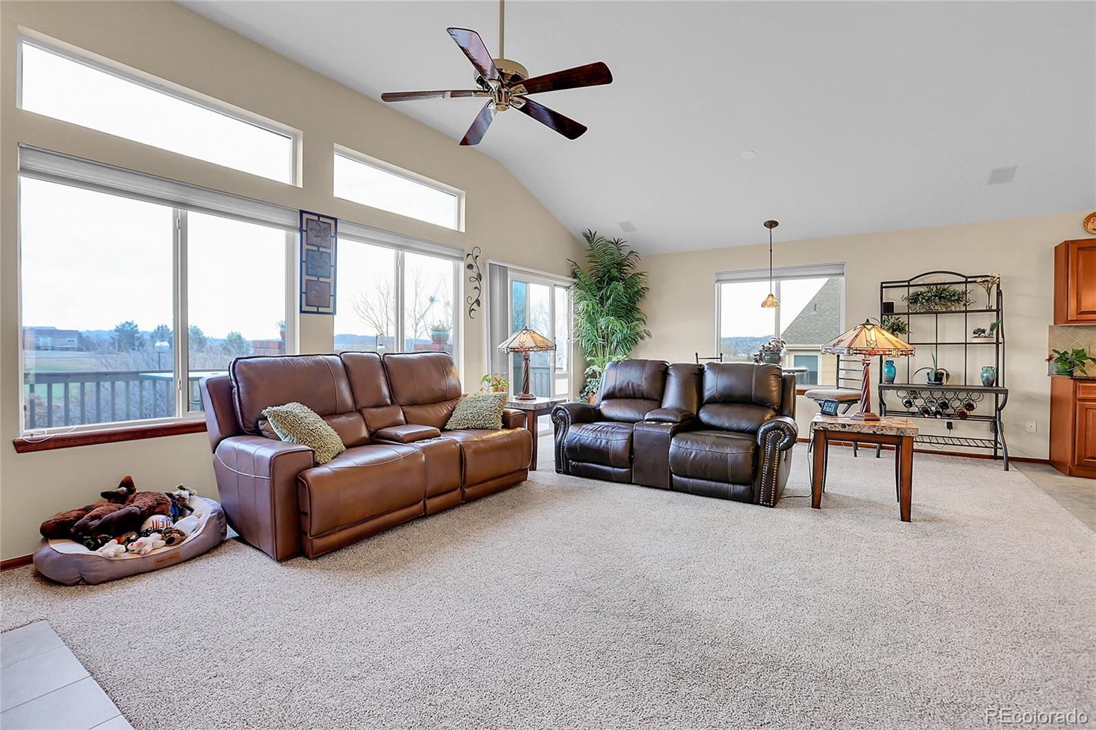 MLS Image #15 for 1339  bent grass circle,castle rock, Colorado