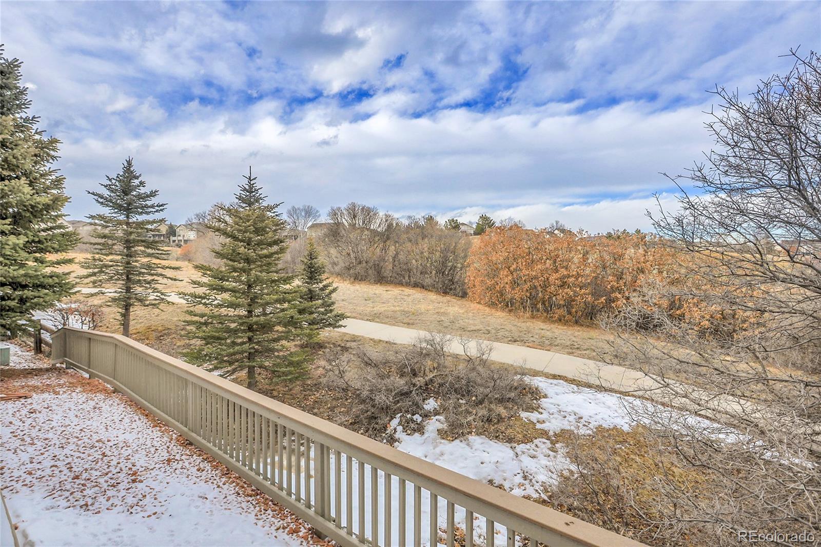 MLS Image #22 for 1339  bent grass circle,castle rock, Colorado