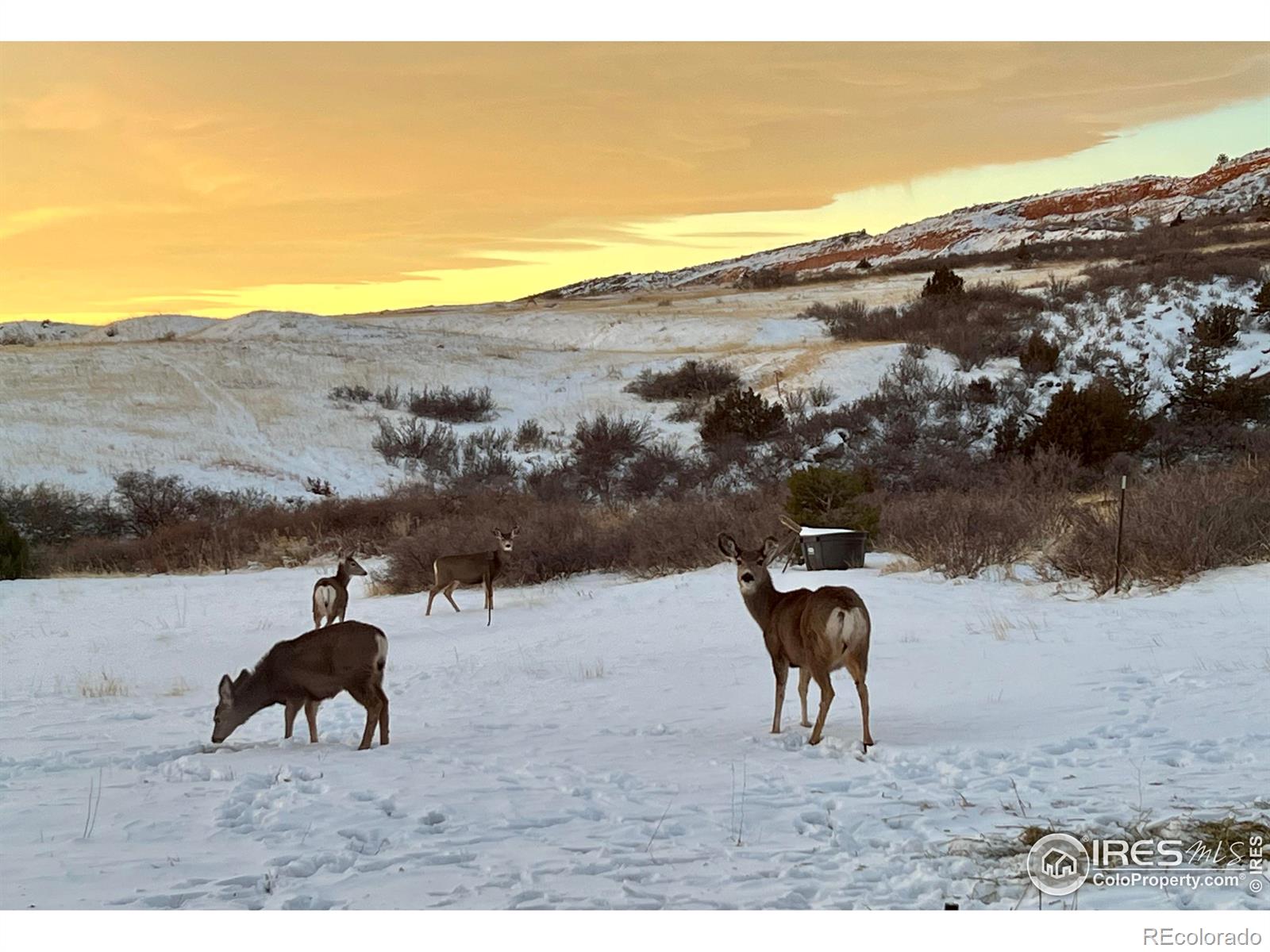 MLS Image #38 for 123  juniper ridge road,laporte, Colorado