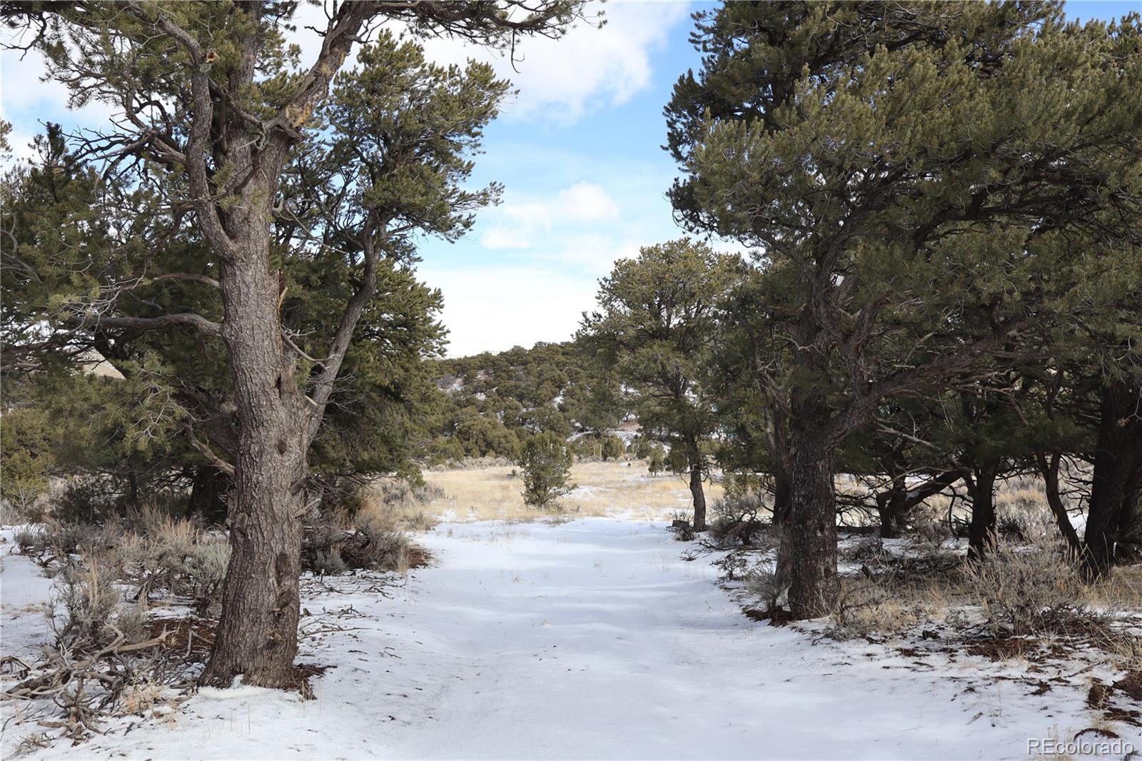 MLS Image #9 for 7302  tiernan road,fort garland, Colorado