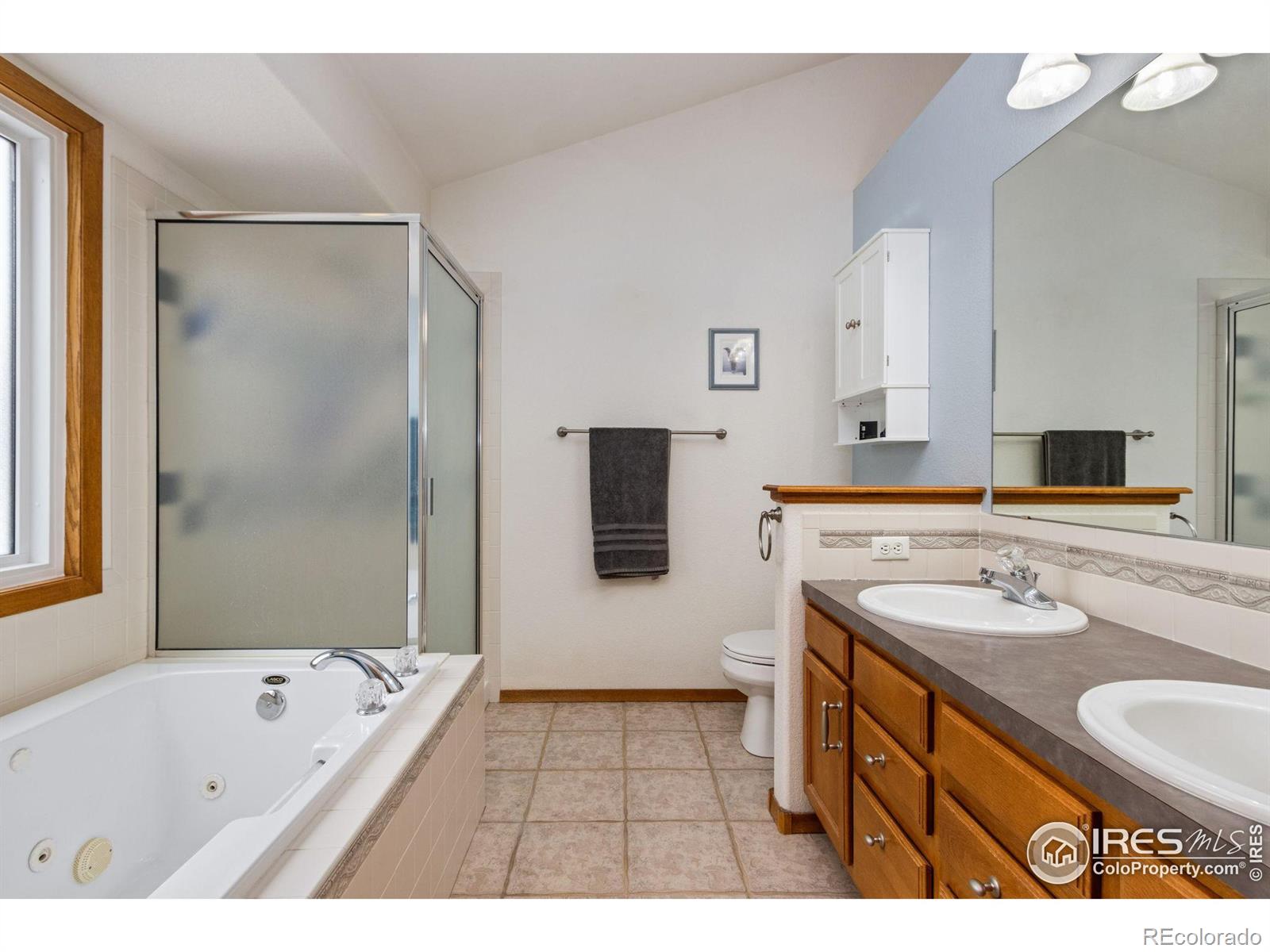 MLS Image #11 for 1508  ambrosia court,fort collins, Colorado