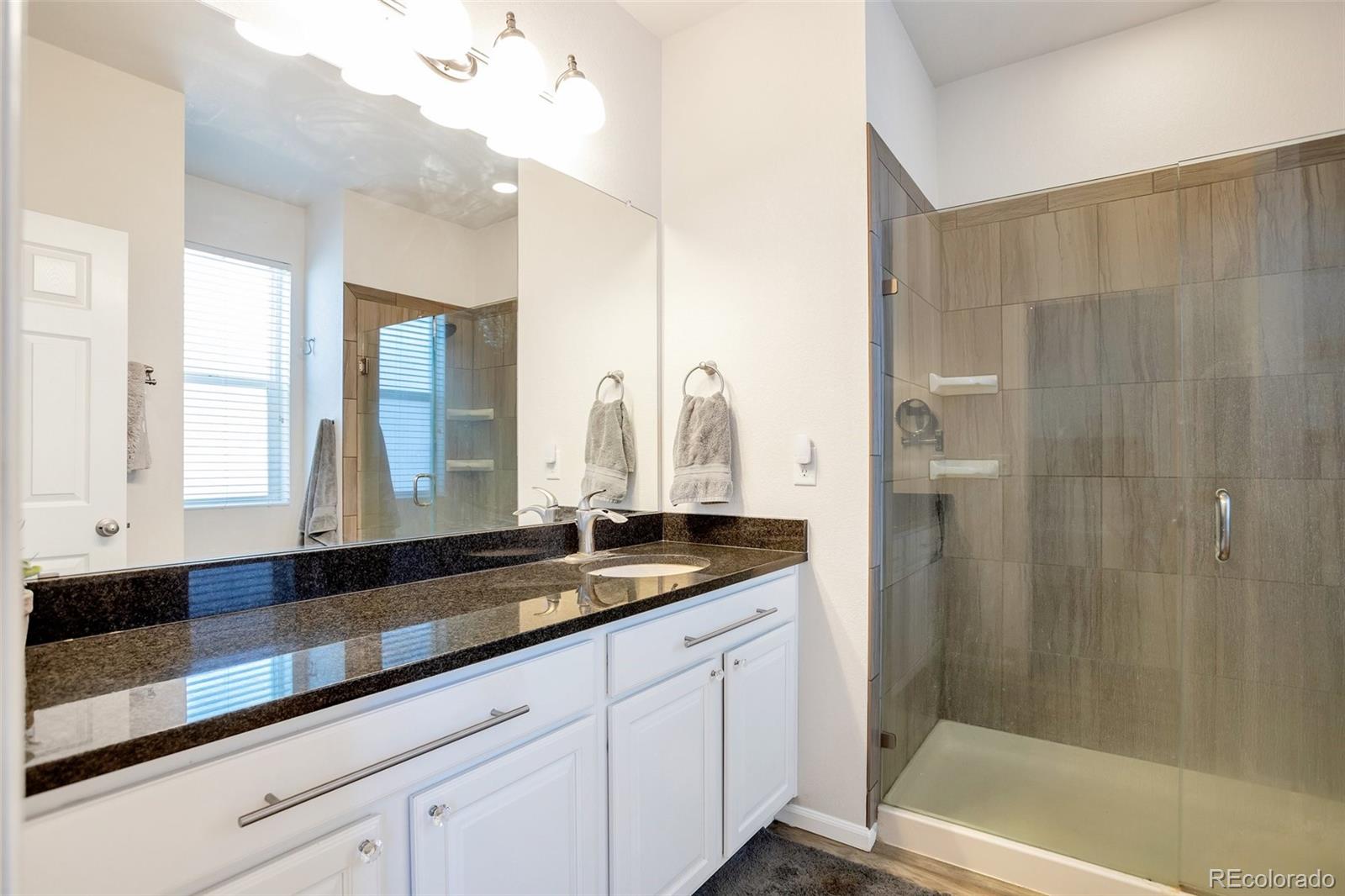 MLS Image #9 for 7426  blue water lane,castle rock, Colorado
