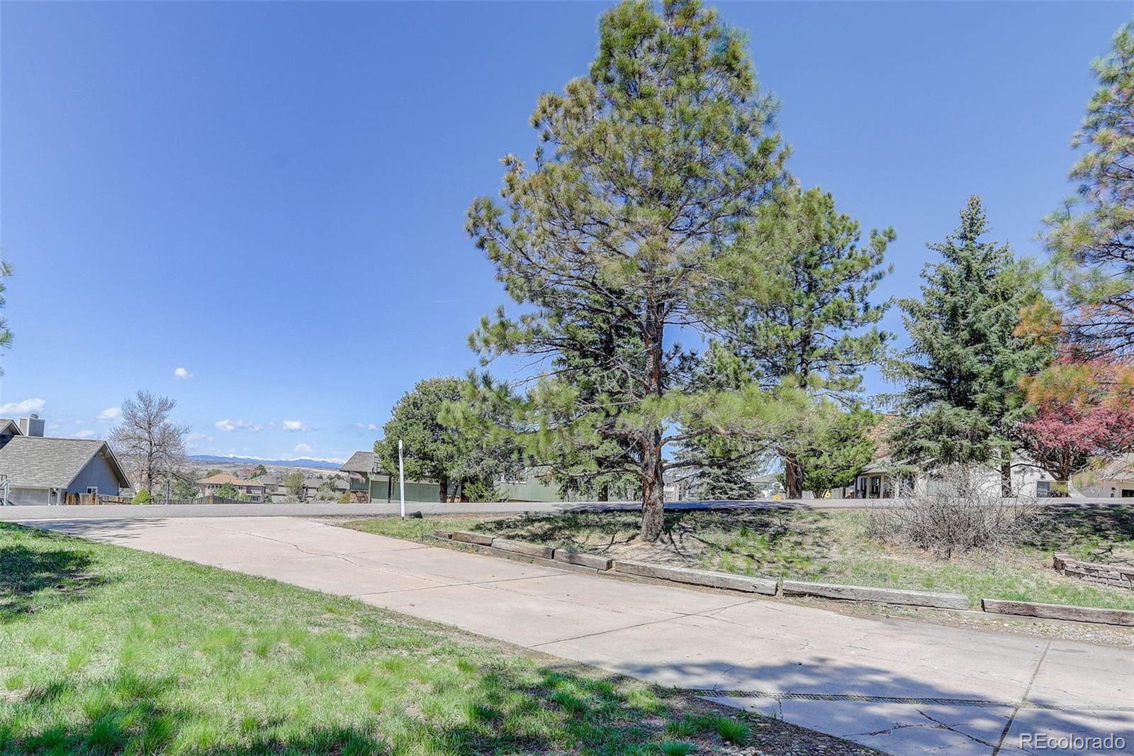 MLS Image #6 for 7420  windwood way,parker, Colorado